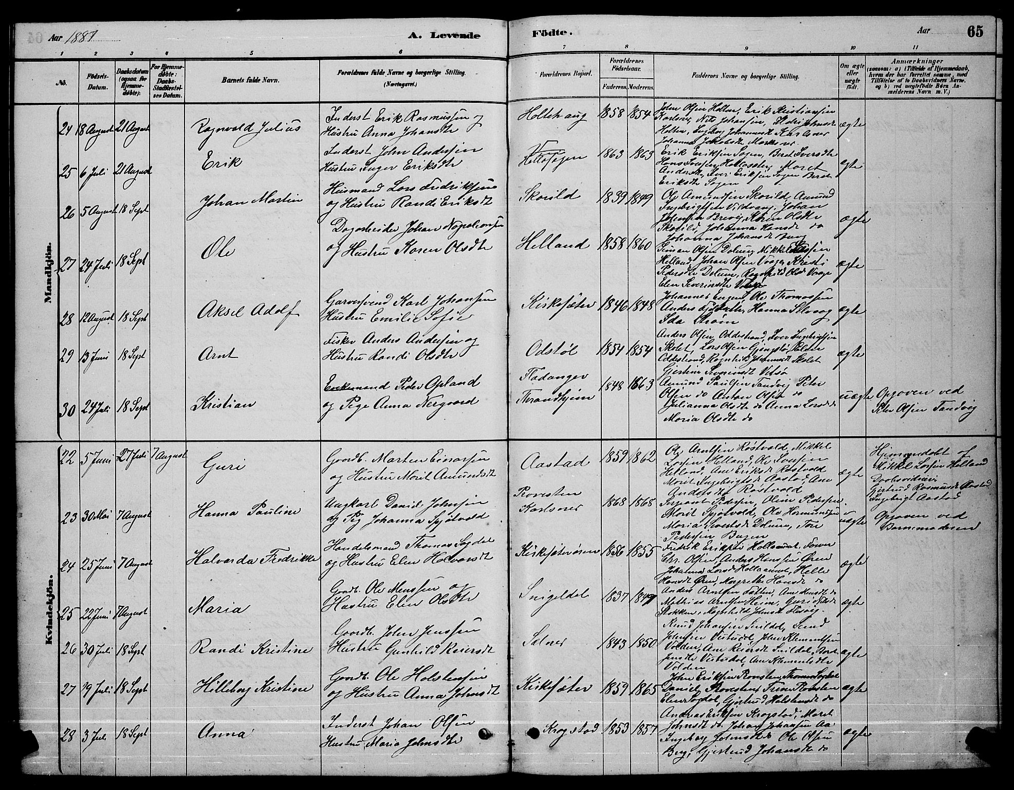 Ministerialprotokoller, klokkerbøker og fødselsregistre - Sør-Trøndelag, AV/SAT-A-1456/630/L0504: Parish register (copy) no. 630C02, 1879-1898, p. 65