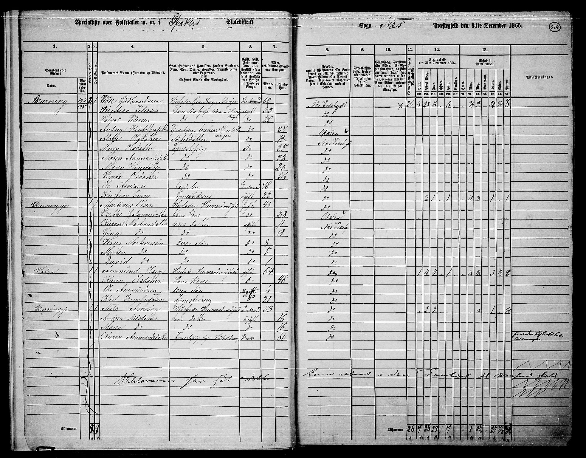 RA, 1865 census for Nes, 1865, p. 202