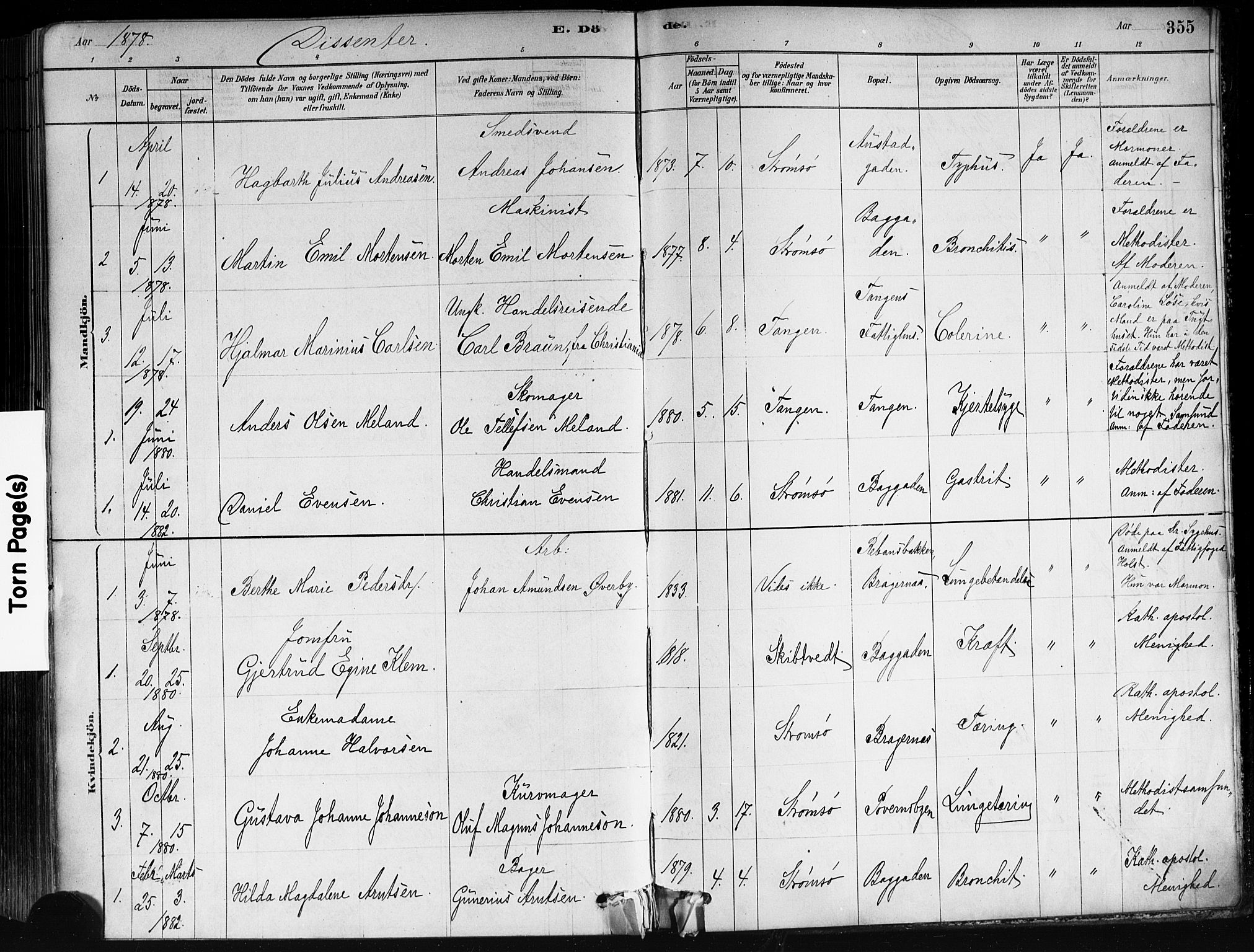 Strømsø kirkebøker, SAKO/A-246/F/Fa/L0021: Parish register (official) no. I 21, 1878-1885, p. 355