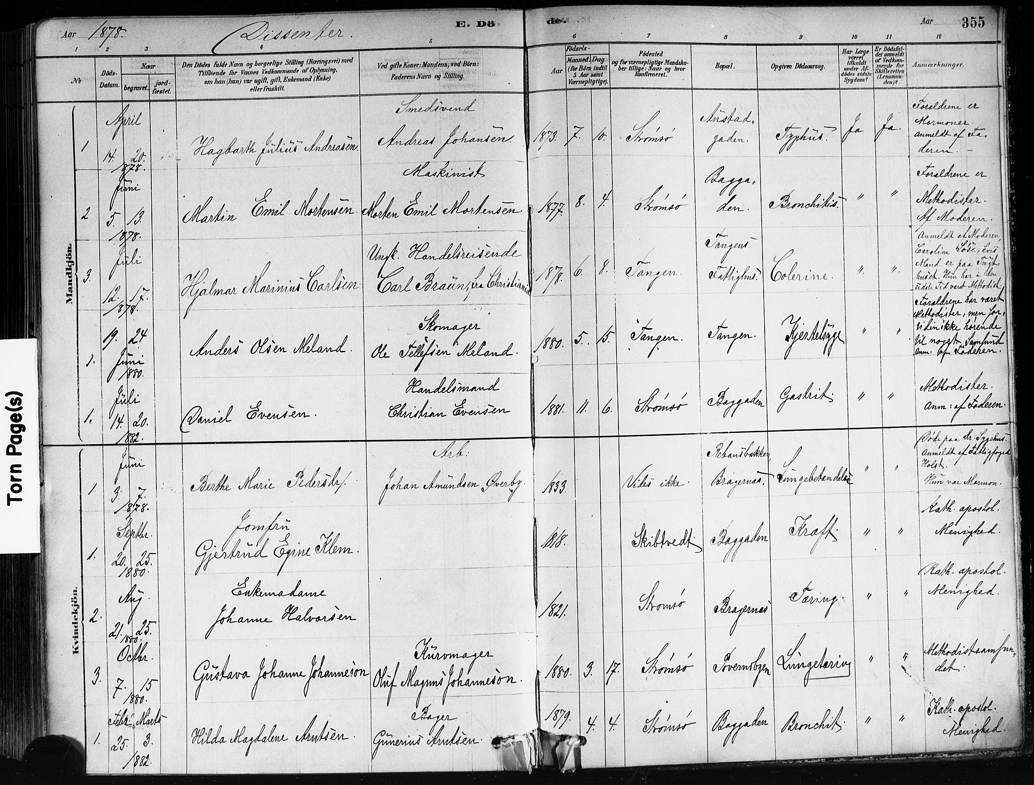 Strømsø kirkebøker, AV/SAKO-A-246/F/Fa/L0021: Parish register (official) no. I 21, 1878-1885, p. 355