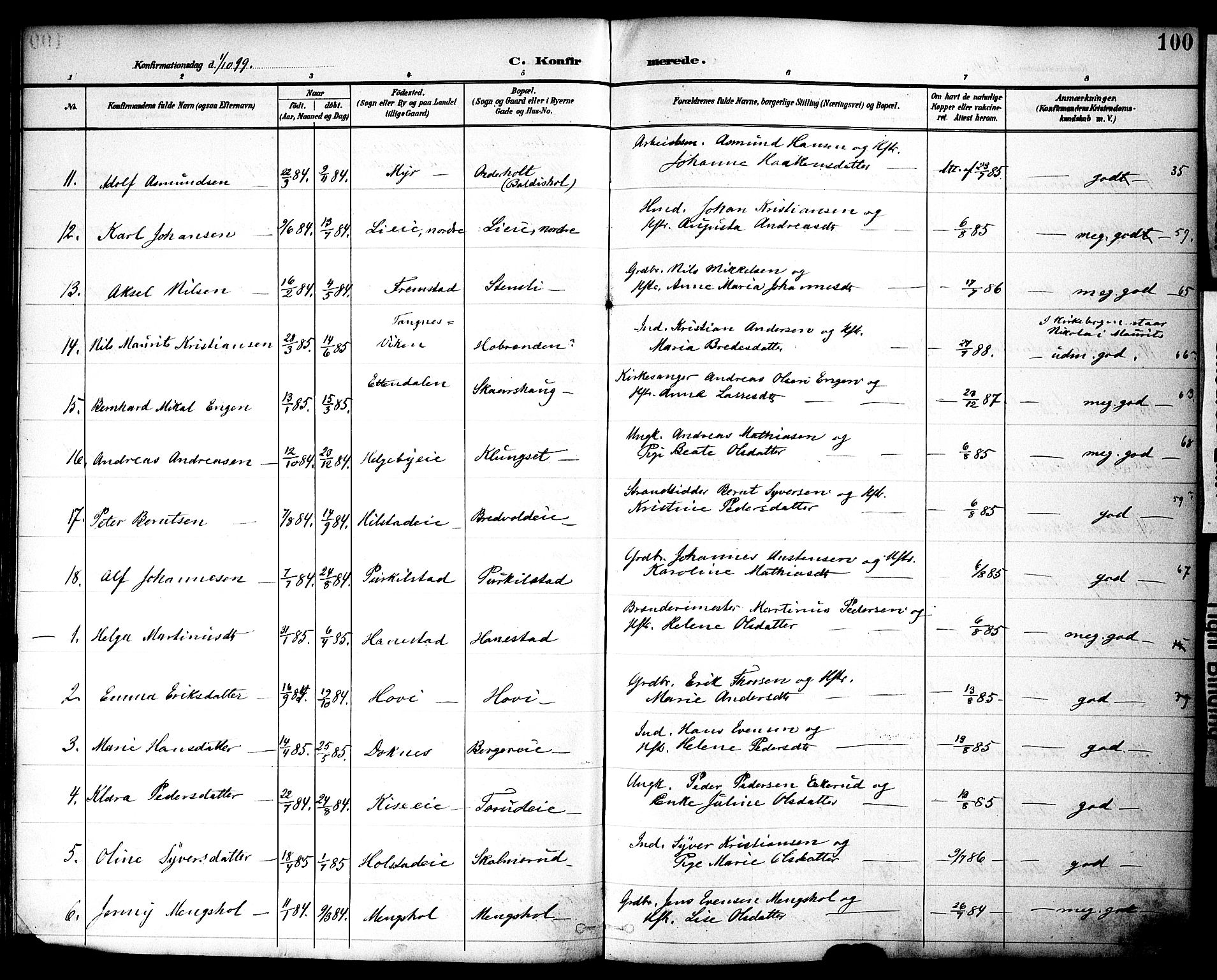 Nes prestekontor, Hedmark, AV/SAH-PREST-020/K/Ka/L0010: Parish register (official) no. 10, 1887-1905, p. 100