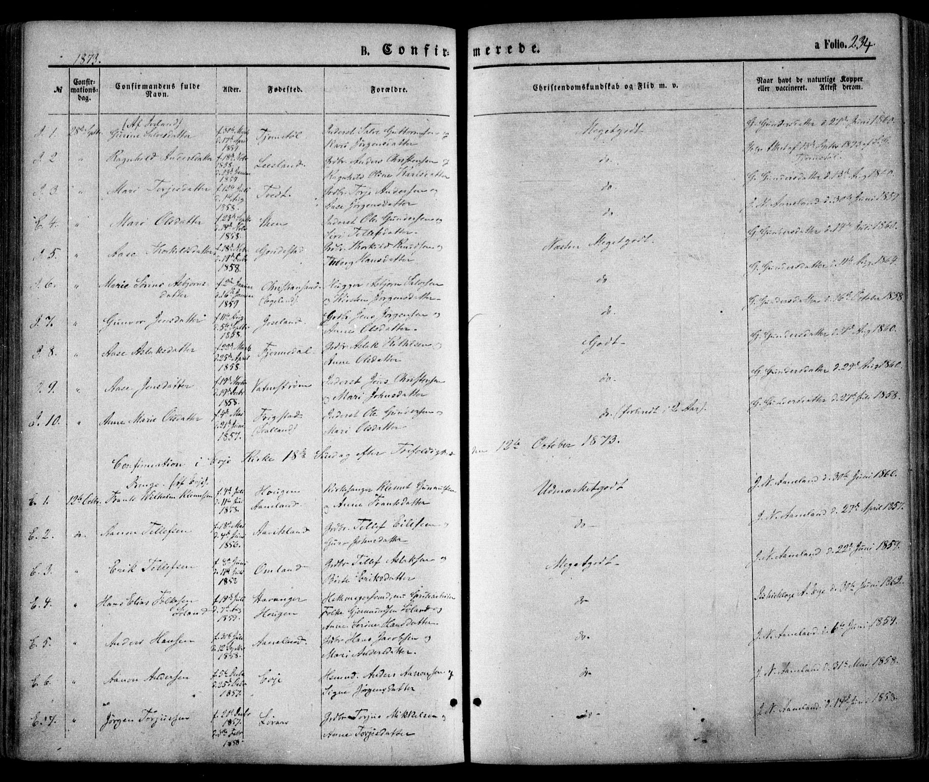 Evje sokneprestkontor, AV/SAK-1111-0008/F/Fa/Faa/L0006: Parish register (official) no. A 6, 1866-1884, p. 234