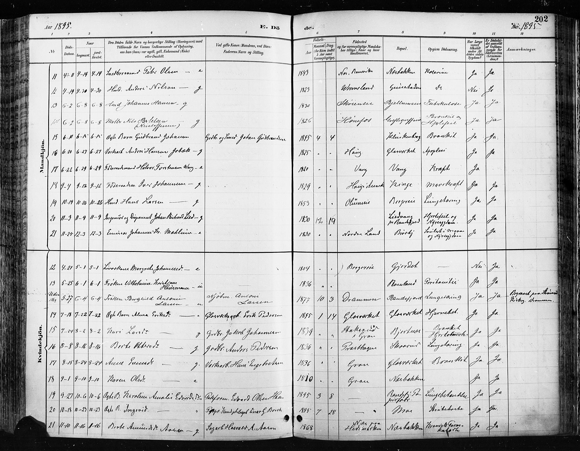 Jevnaker prestekontor, SAH/PREST-116/H/Ha/Haa/L0009: Parish register (official) no. 9, 1891-1901, p. 202