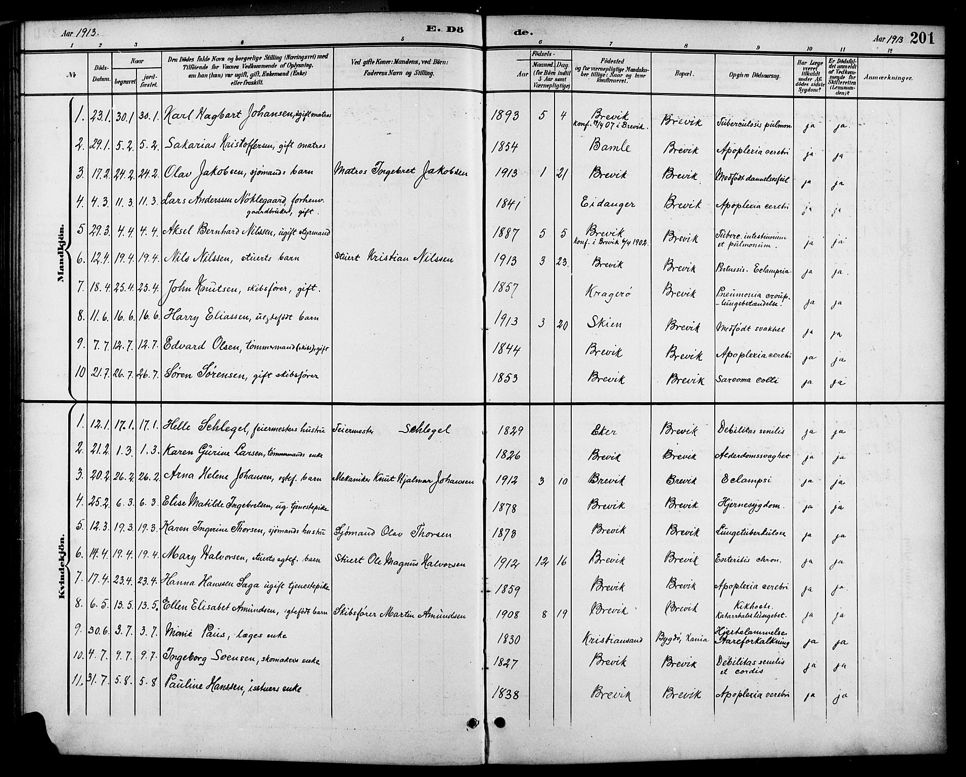 Brevik kirkebøker, AV/SAKO-A-255/G/Ga/L0005: Parish register (copy) no. 5, 1901-1924, p. 201