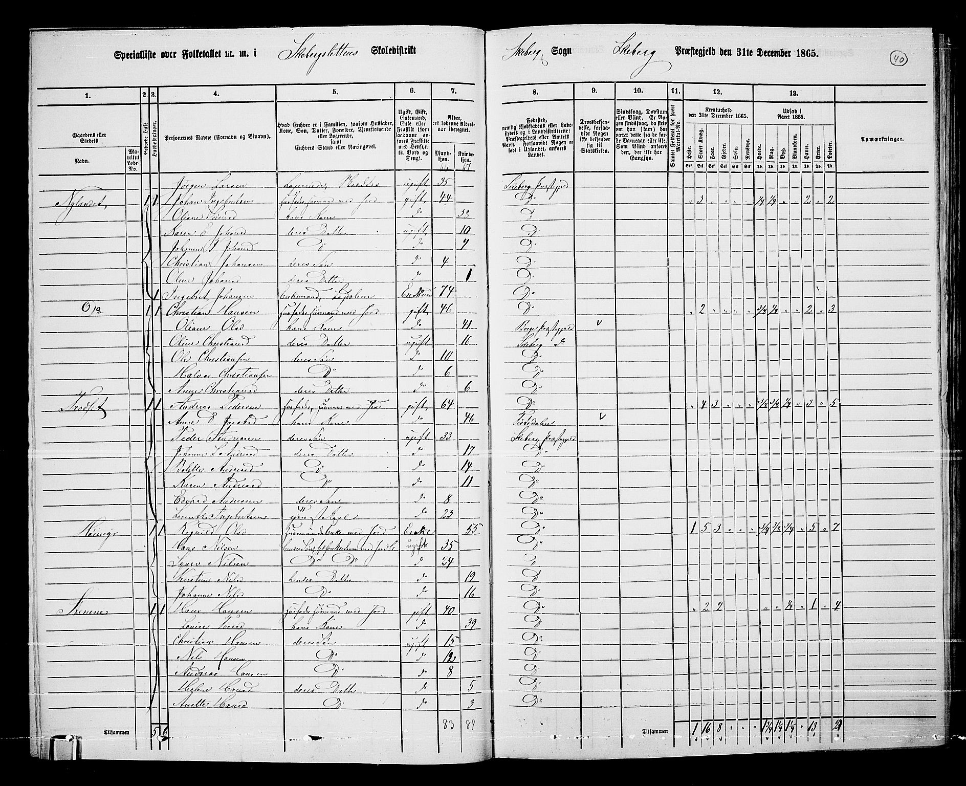 RA, 1865 census for Skjeberg, 1865, p. 38