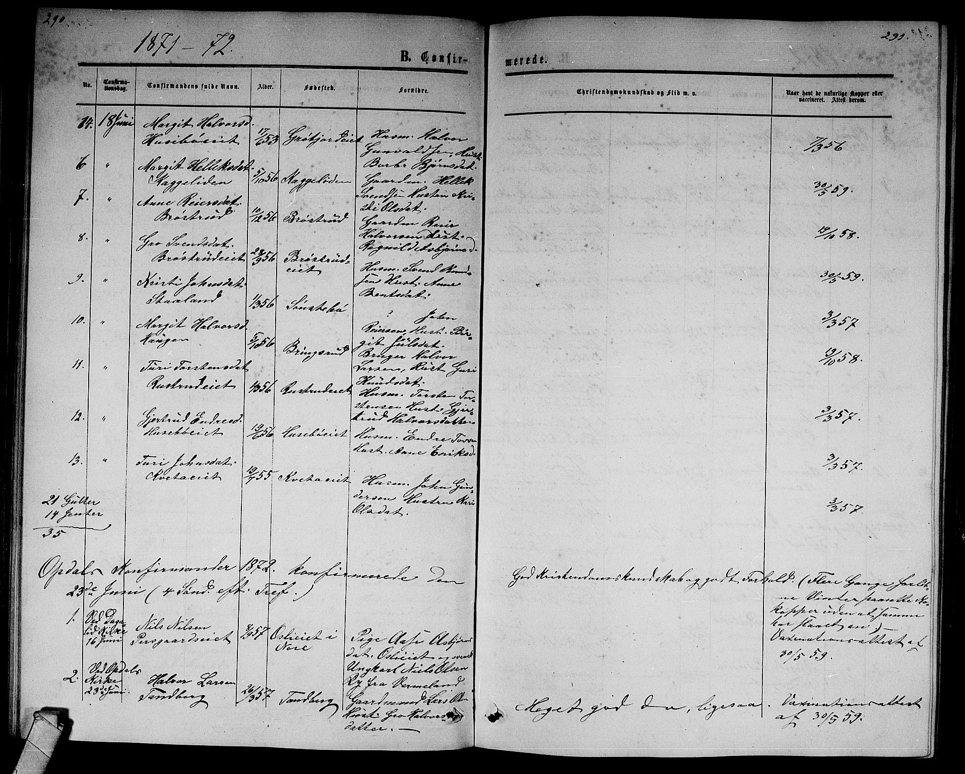 Nore kirkebøker, SAKO/A-238/G/Gb/L0001: Parish register (copy) no. II 1, 1862-1877, p. 290-291