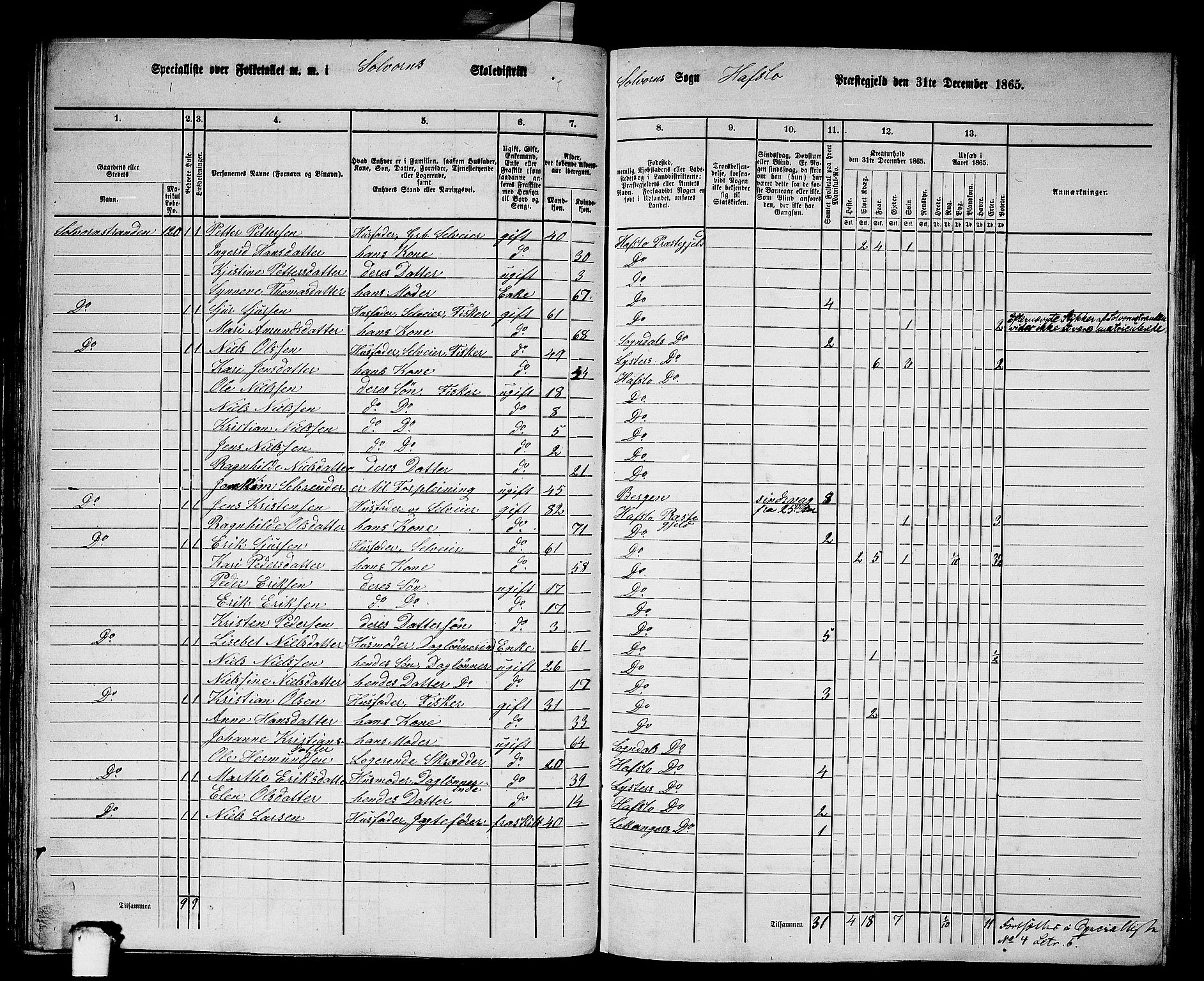 RA, 1865 census for Hafslo, 1865, p. 74