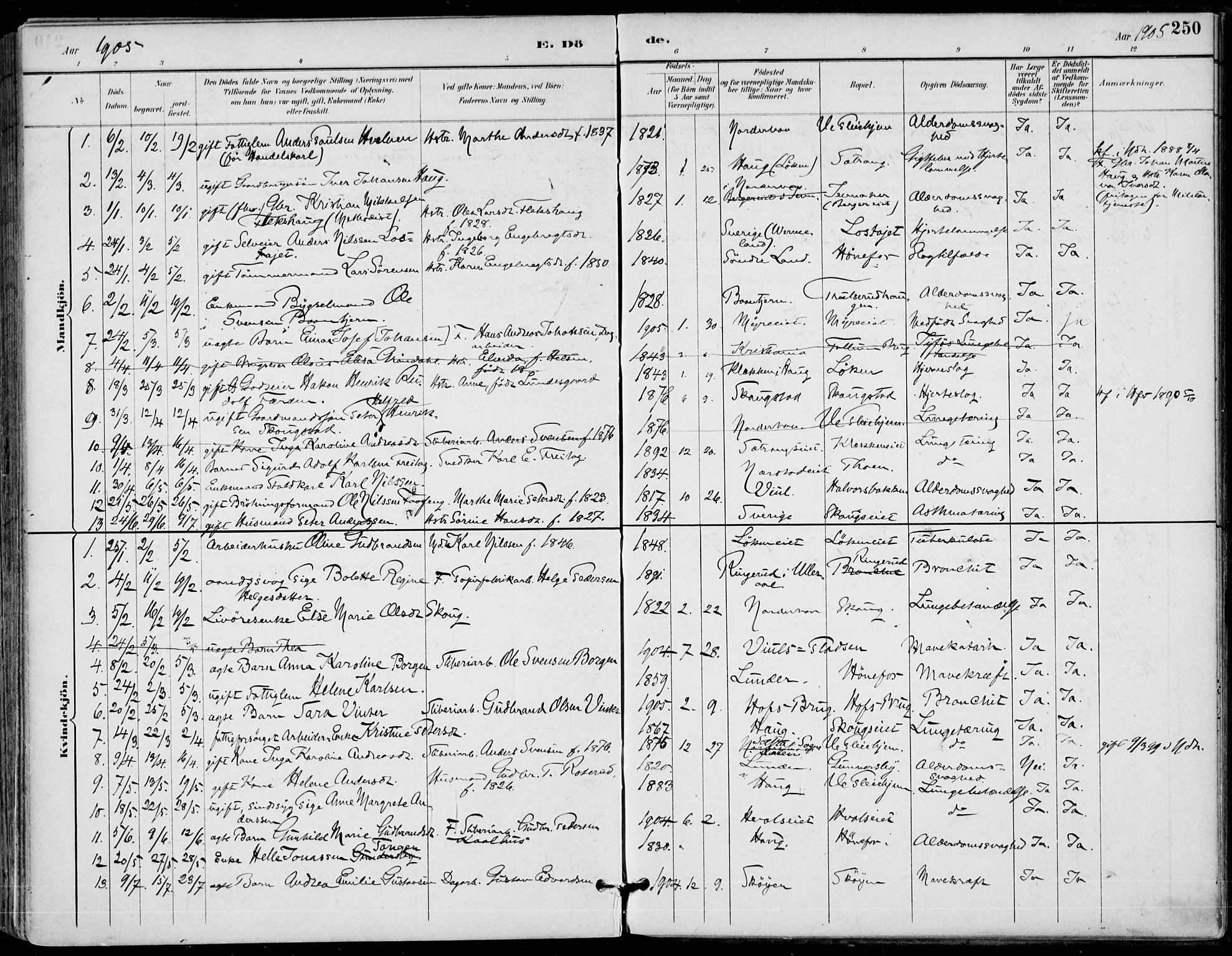 Haug kirkebøker, AV/SAKO-A-604/F/Fa/L0001: Parish register (official) no. 1, 1885-1917, p. 250