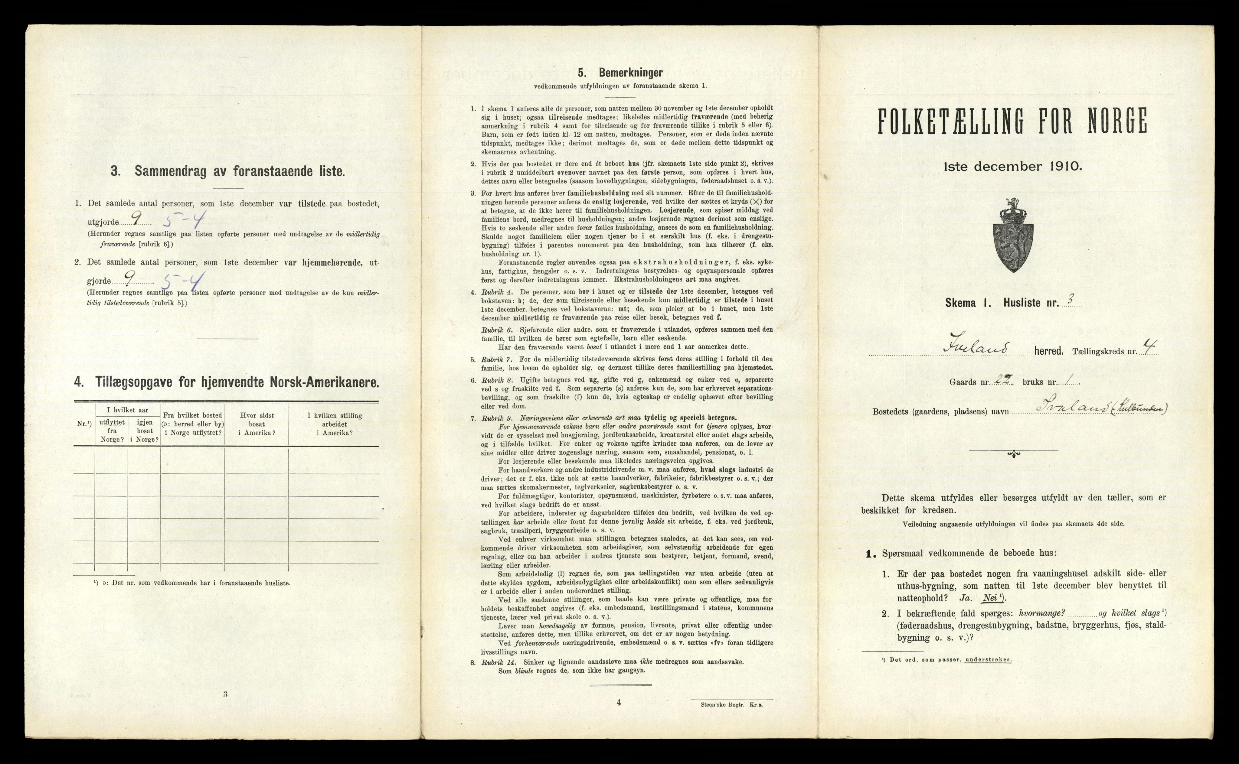 RA, 1910 census for Iveland, 1910, p. 163