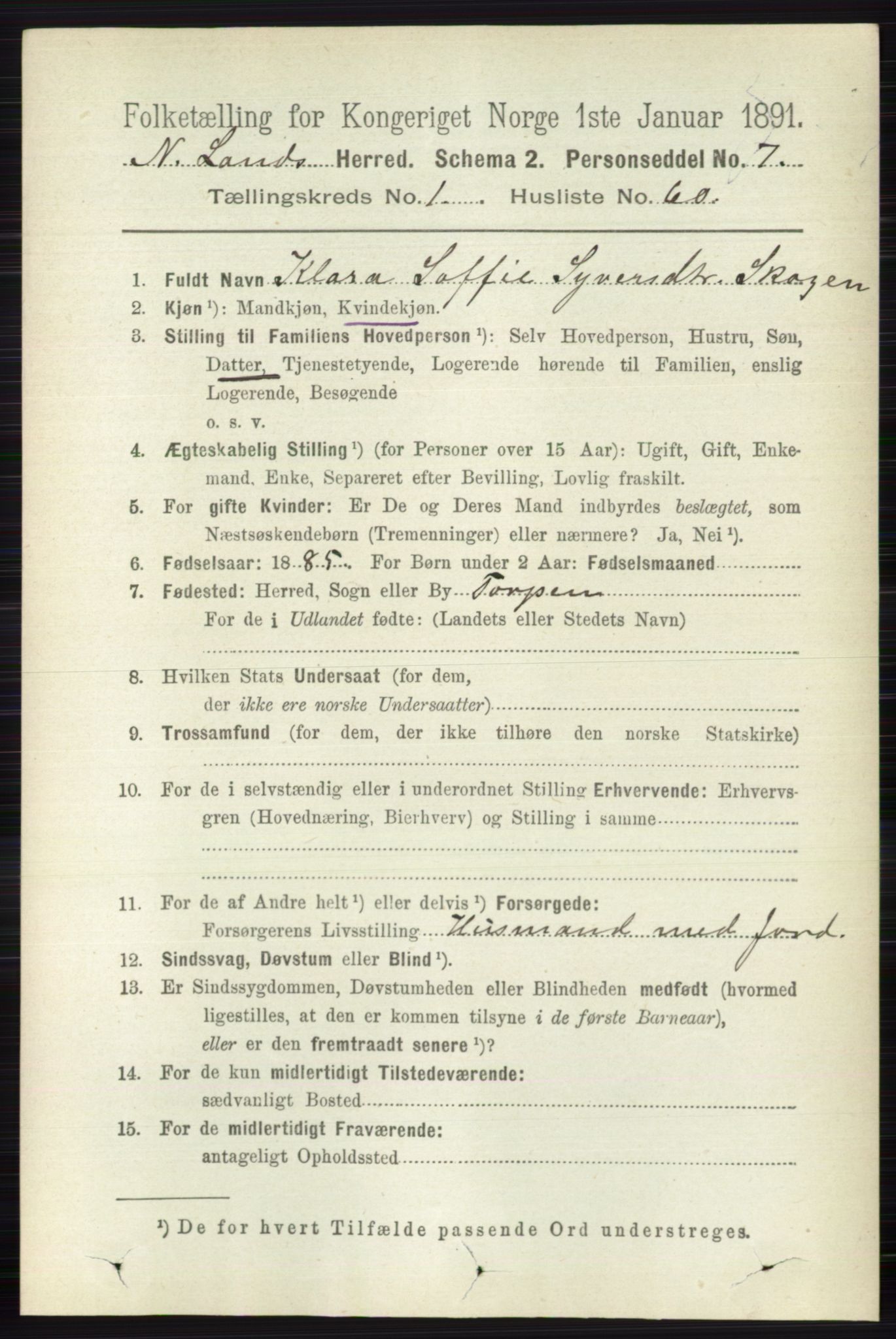 RA, 1891 census for 0538 Nordre Land, 1891, p. 484