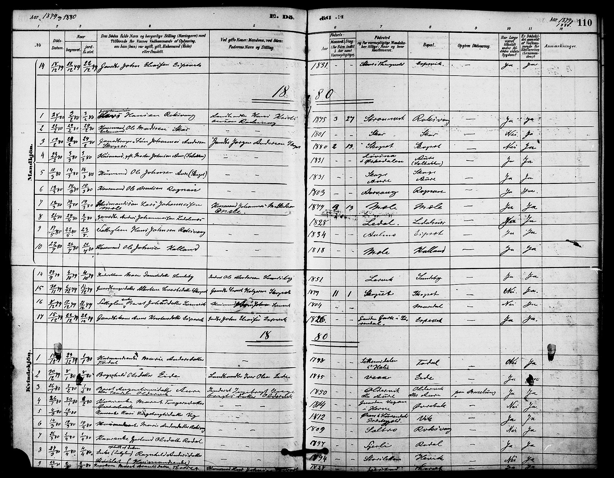 Ministerialprotokoller, klokkerbøker og fødselsregistre - Møre og Romsdal, AV/SAT-A-1454/578/L0906: Parish register (official) no. 578A05, 1878-1886, p. 110