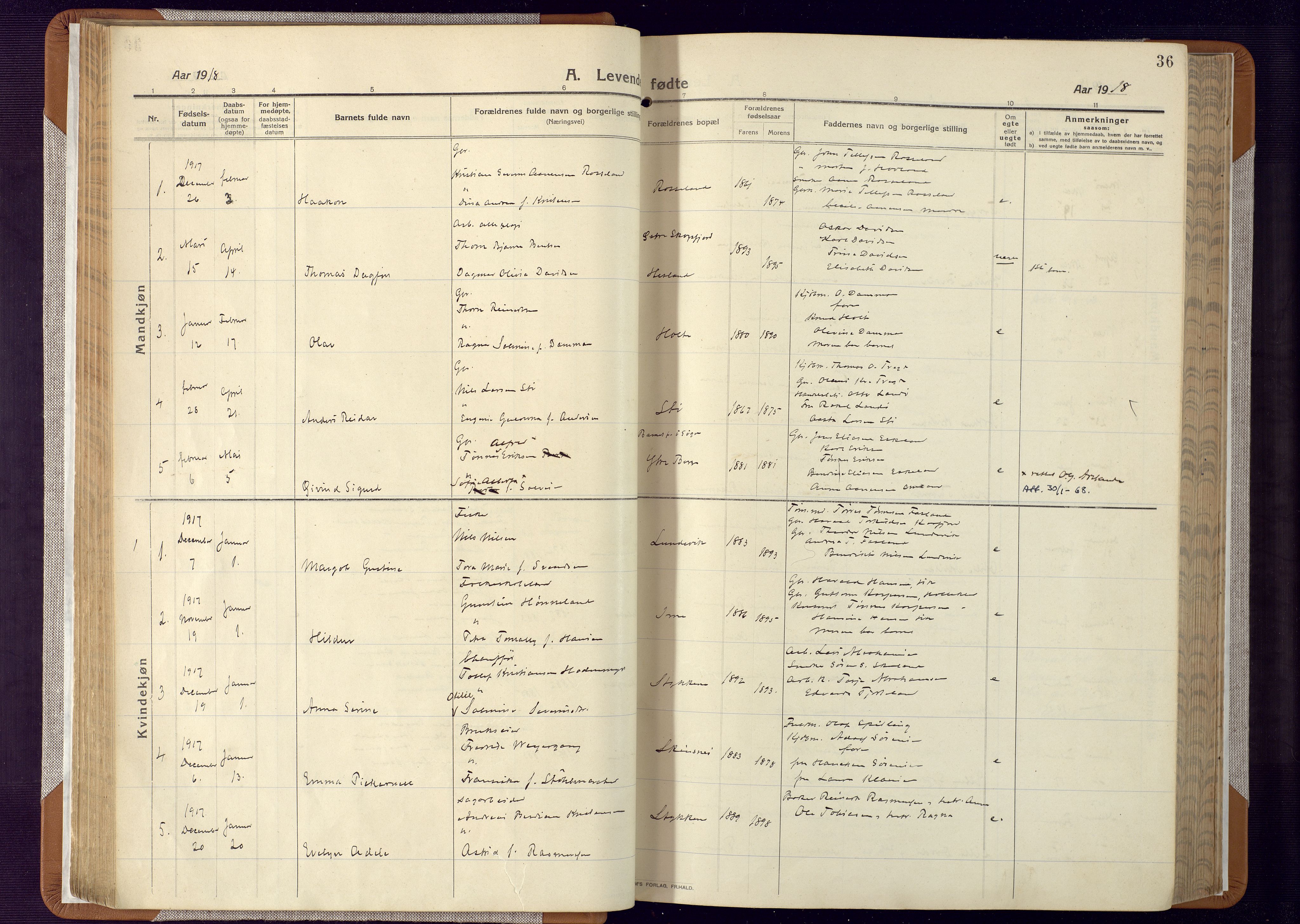 Mandal sokneprestkontor, SAK/1111-0030/F/Fa/Faa/L0022: Parish register (official) no. A 22, 1913-1925, p. 36