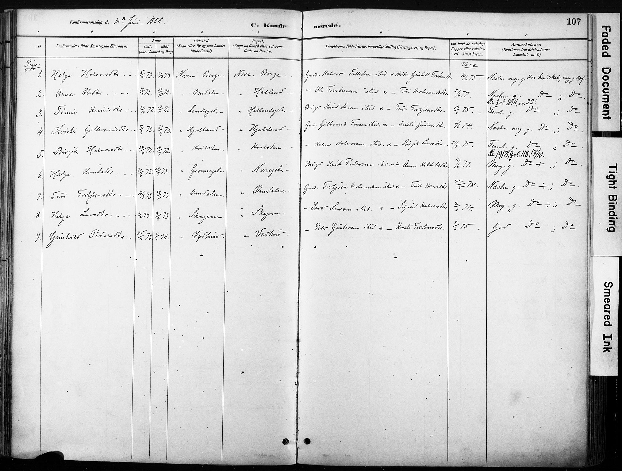 Nore kirkebøker, SAKO/A-238/F/Fb/L0002: Parish register (official) no. II 2, 1886-1906, p. 107