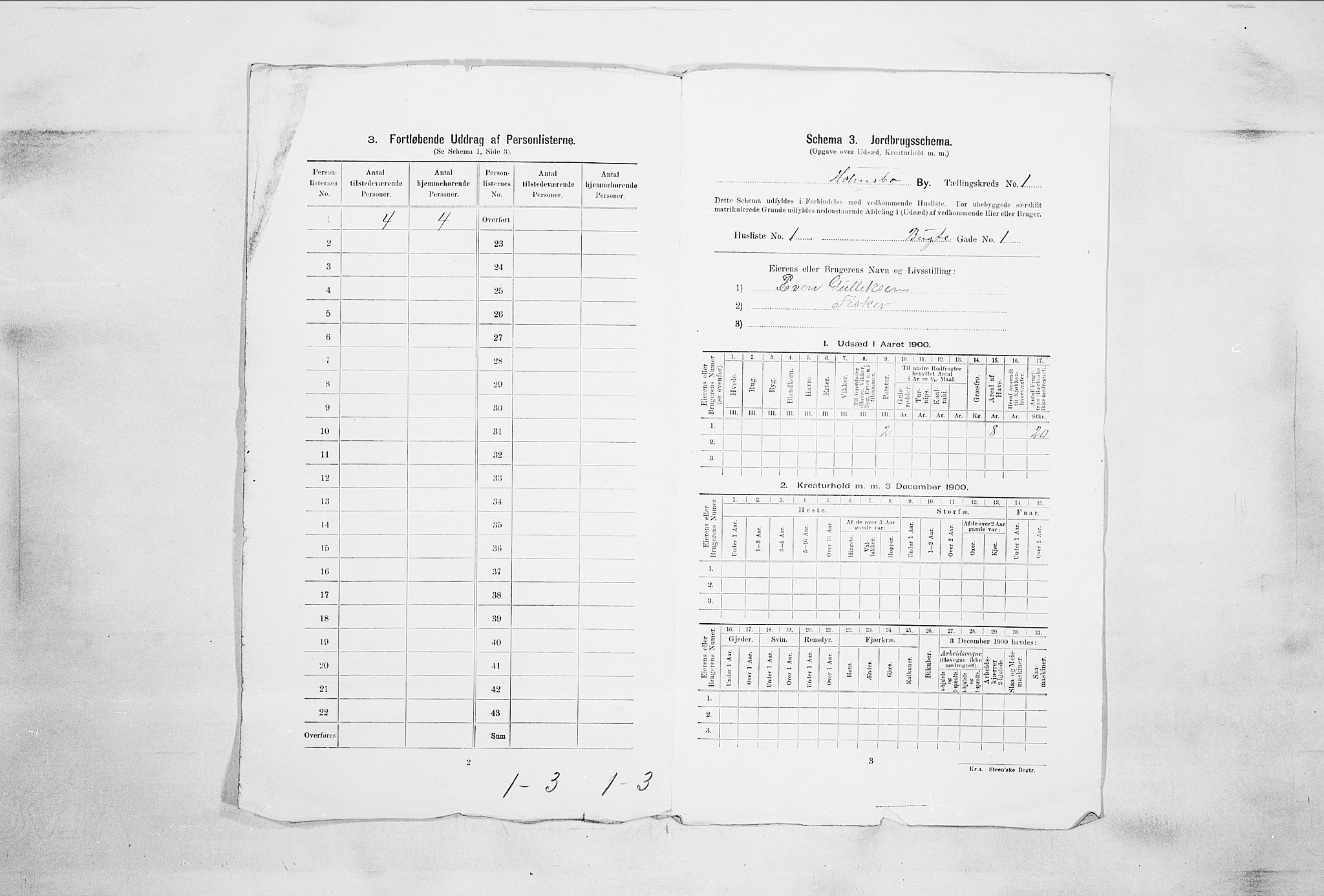 RA, 1900 census for Holmsbu, 1900, p. 9