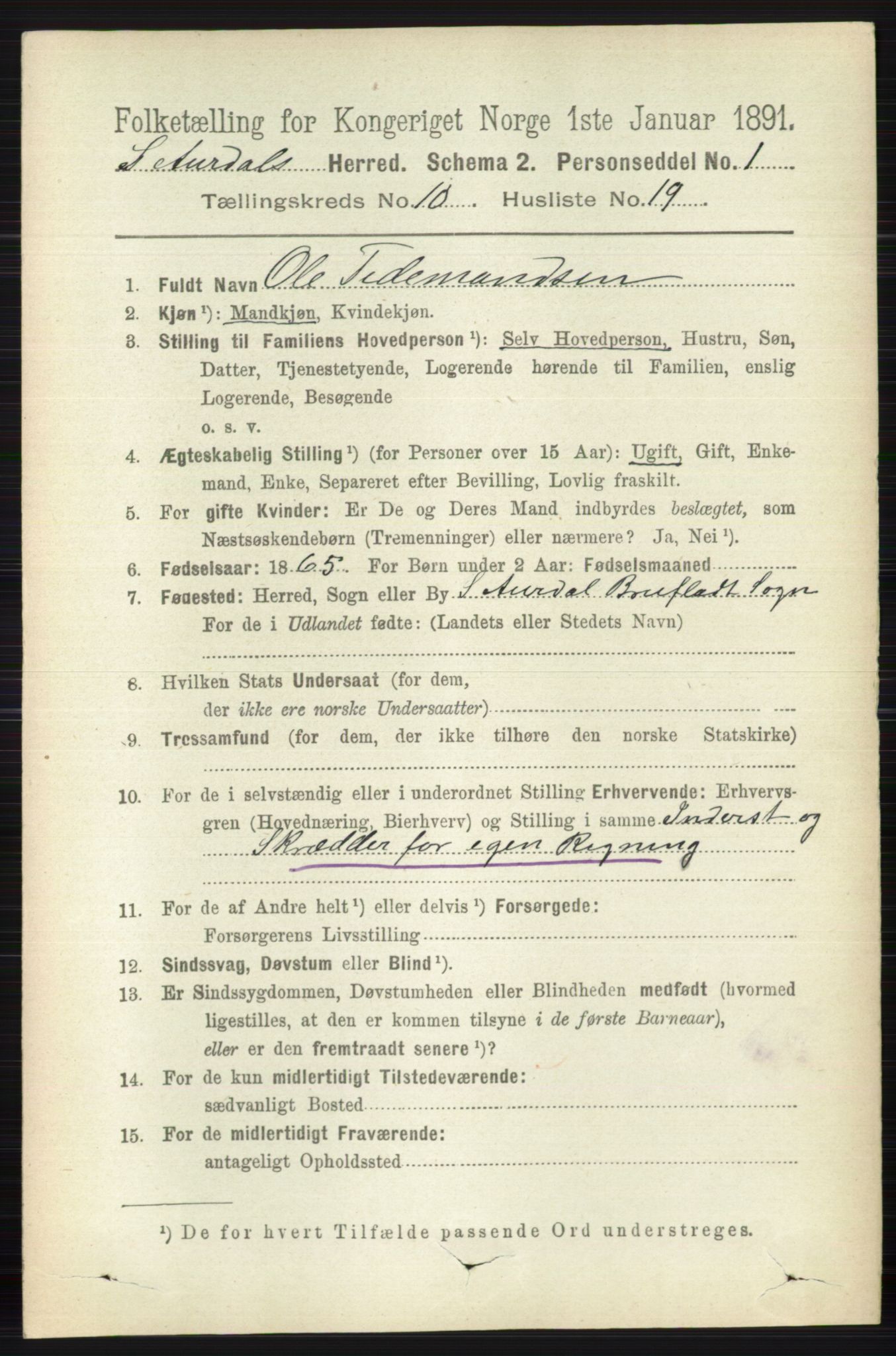 RA, 1891 census for 0540 Sør-Aurdal, 1891, p. 6032