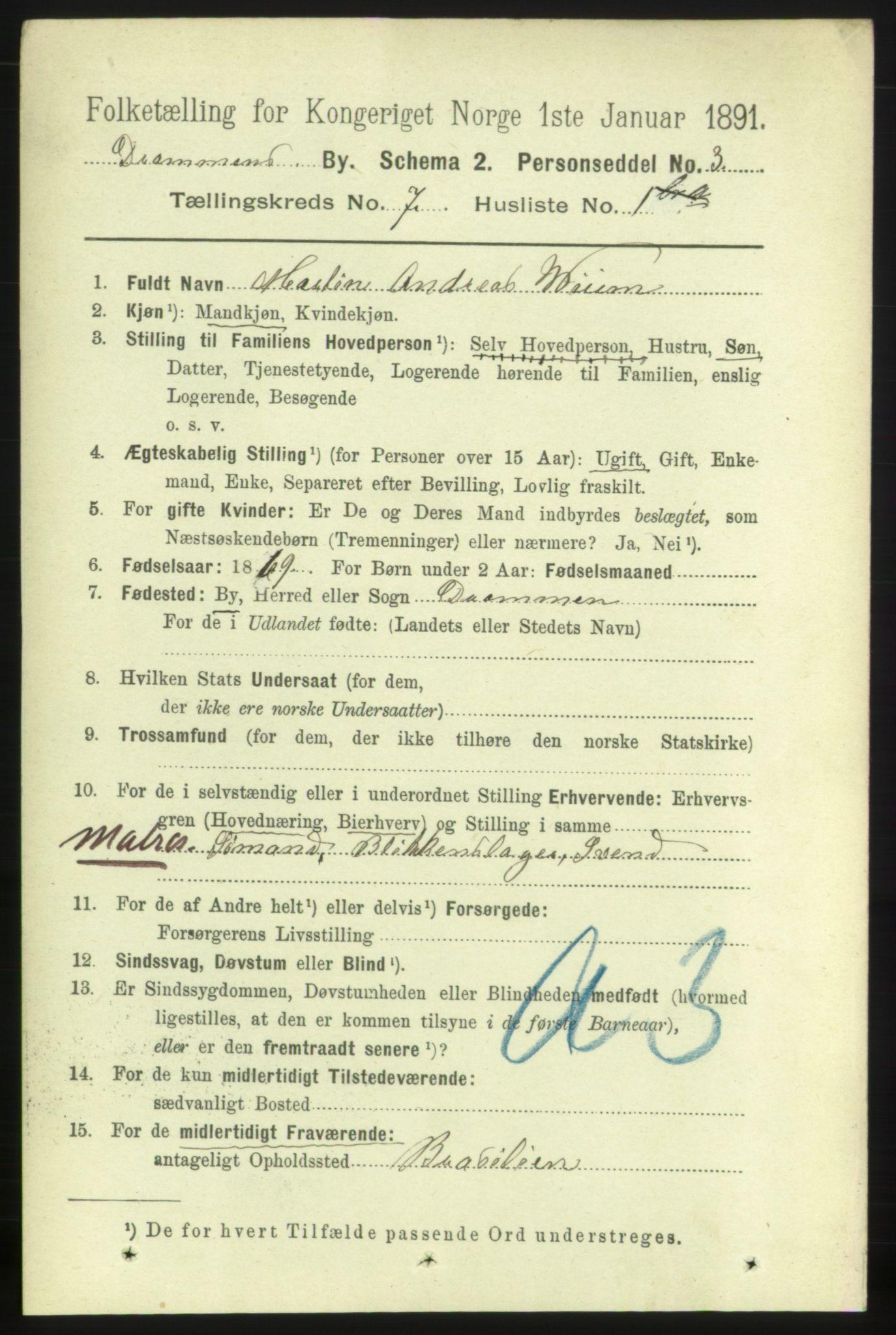 RA, 1891 census for 0602 Drammen, 1891, p. 6354