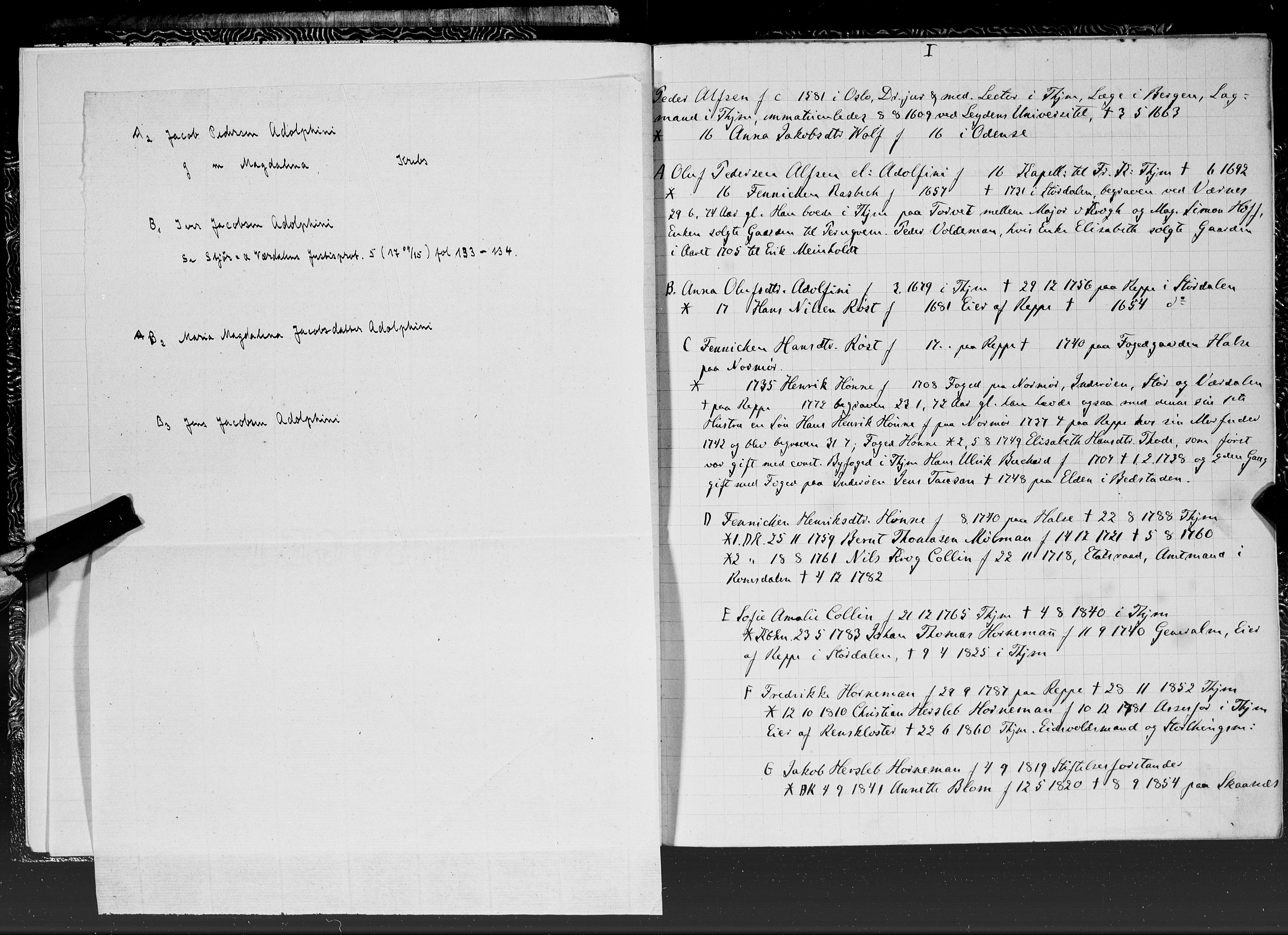 Hornemans samlinger, SAT/PA-X/A/L0014: Jakob Hersleb Hornemans forfedre, 1600-1886