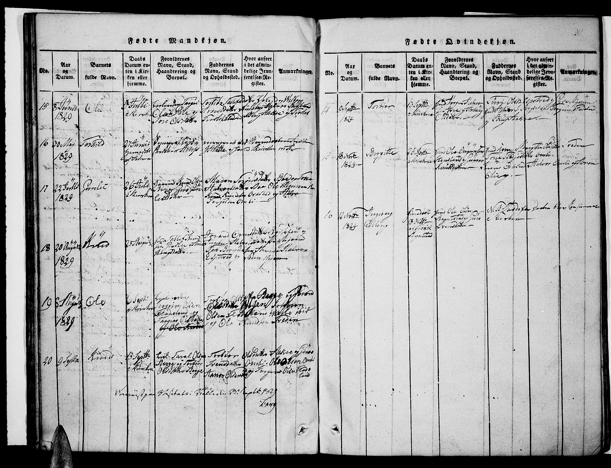 Valle sokneprestkontor, AV/SAK-1111-0044/F/Fb/Fbc/L0001: Parish register (copy) no. B 1 /1, 1816-1829, p. 31