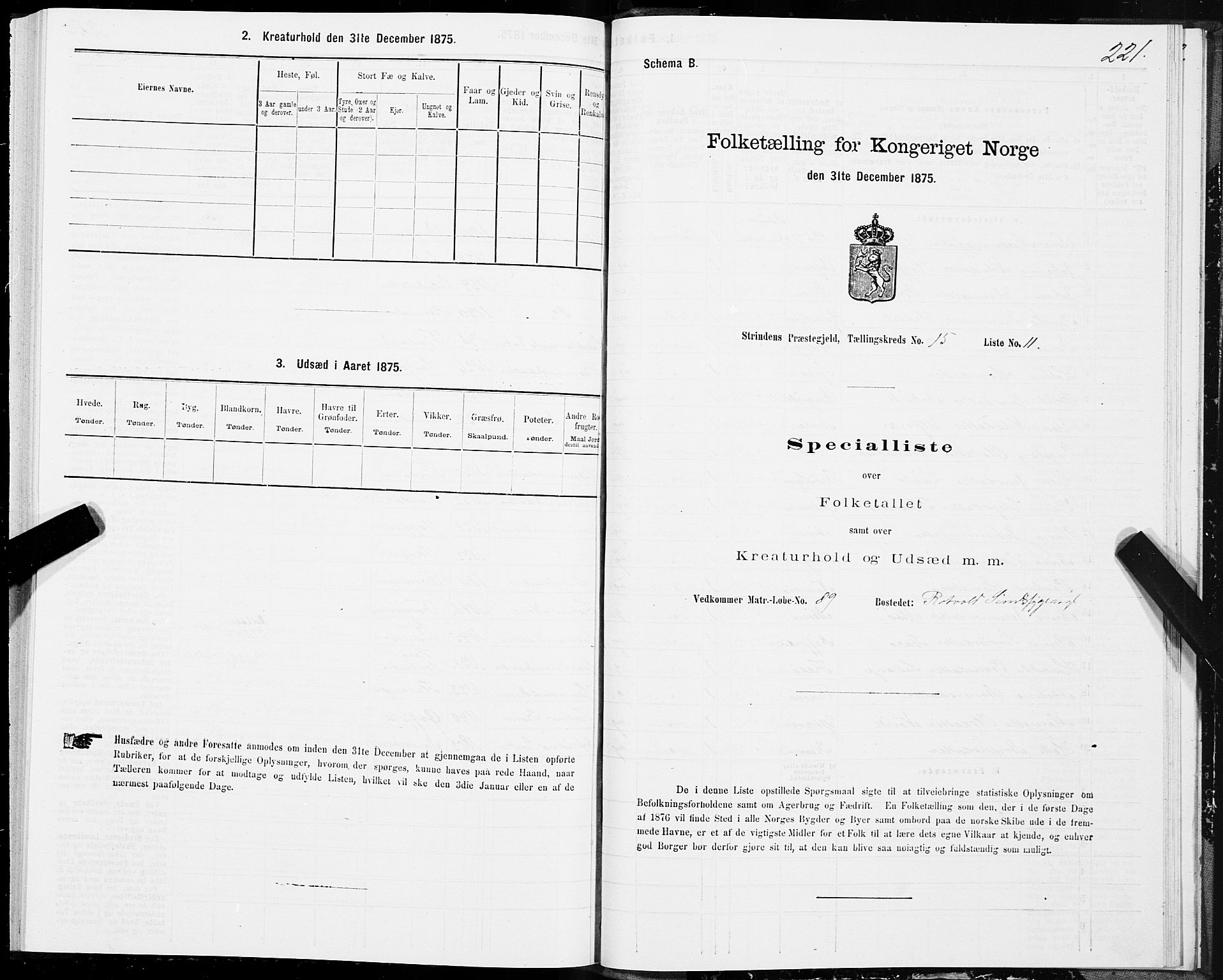 SAT, 1875 census for 1660P Strinda, 1875, p. 8221