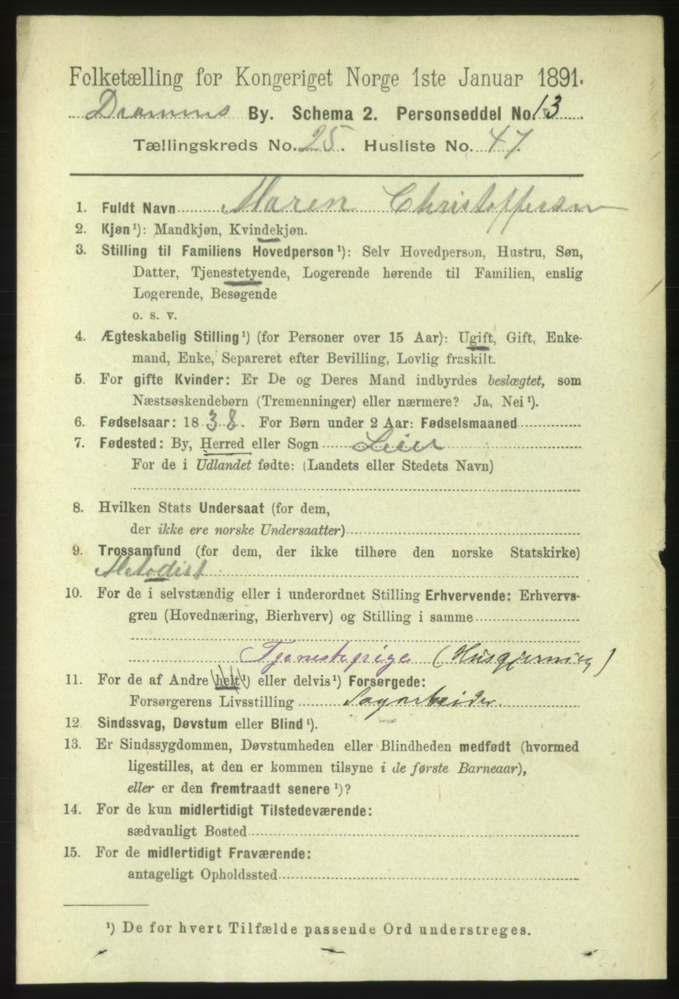 RA, 1891 census for 0602 Drammen, 1891, p. 15785