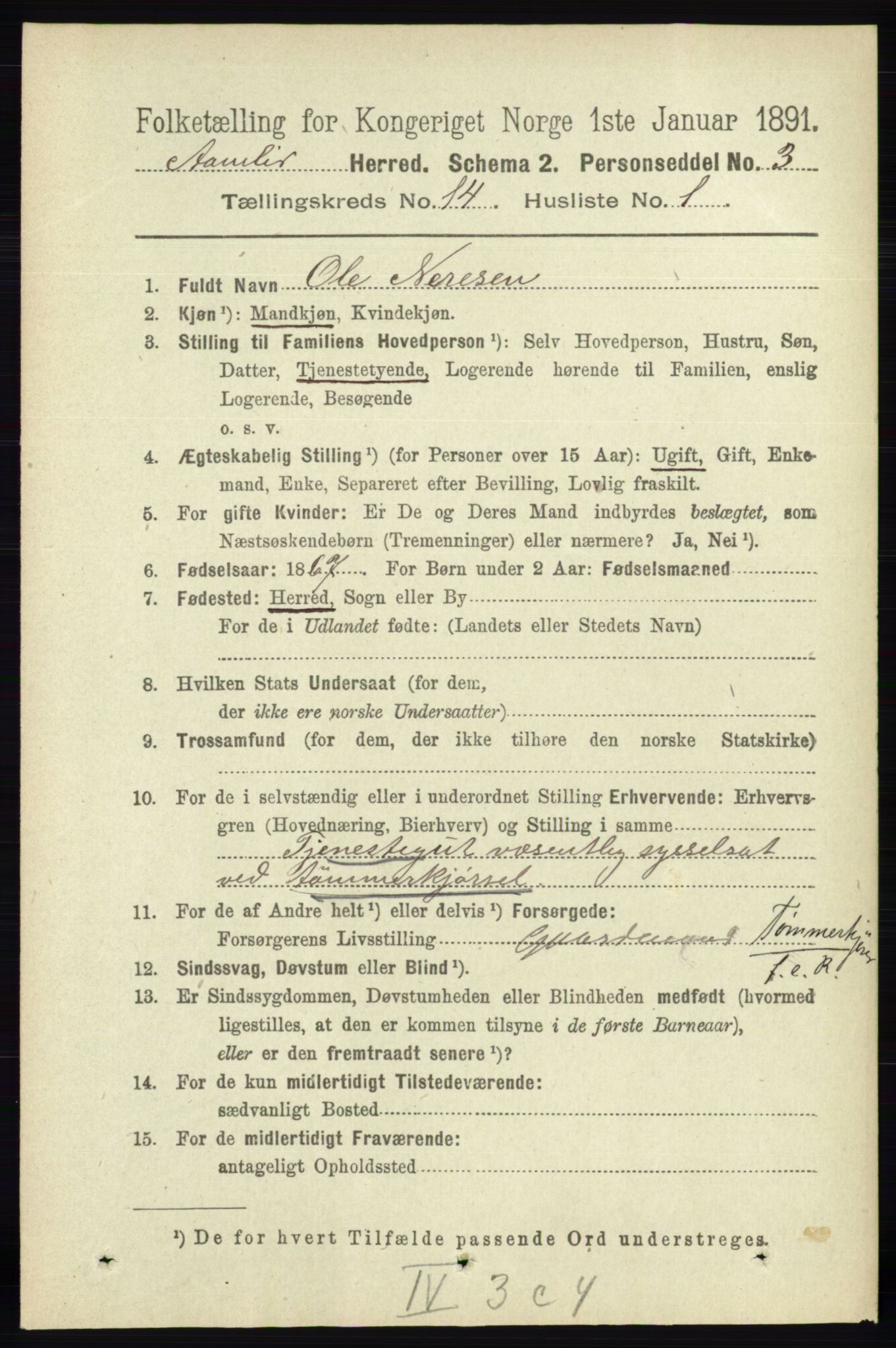 RA, 1891 census for 0929 Åmli, 1891, p. 2268