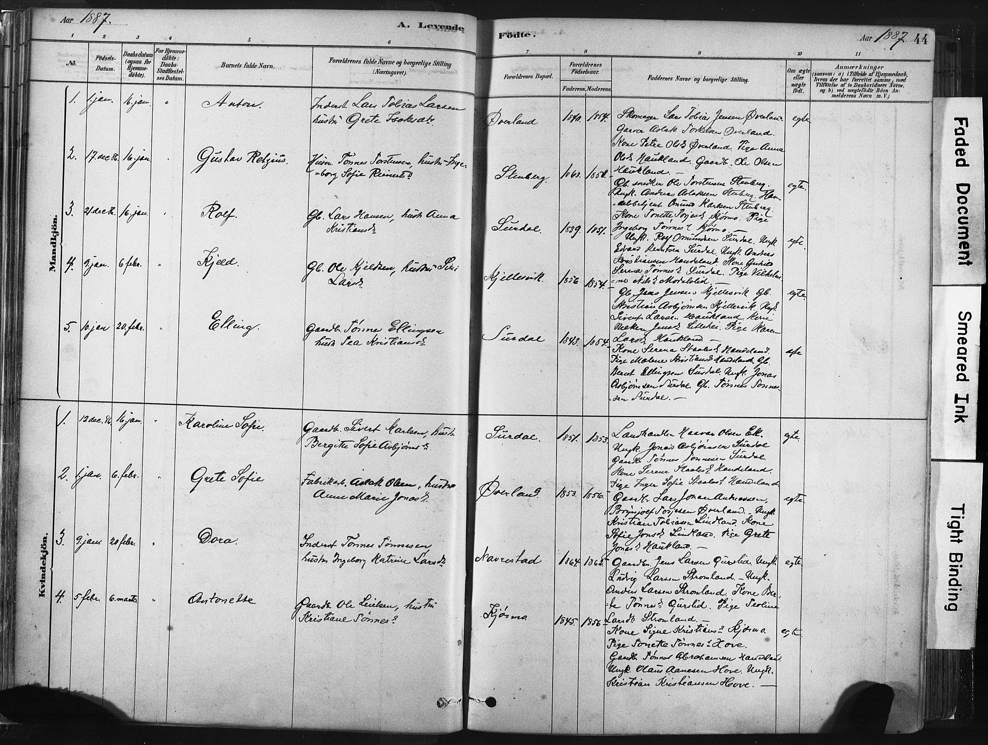 Lund sokneprestkontor, SAST/A-101809/S06/L0011: Parish register (official) no. A 10, 1877-1904, p. 44