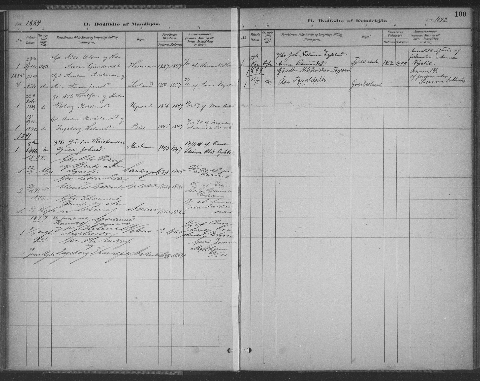 Vennesla sokneprestkontor, AV/SAK-1111-0045/Fa/Fac/L0009: Parish register (official) no. A 9, 1884-1901, p. 100