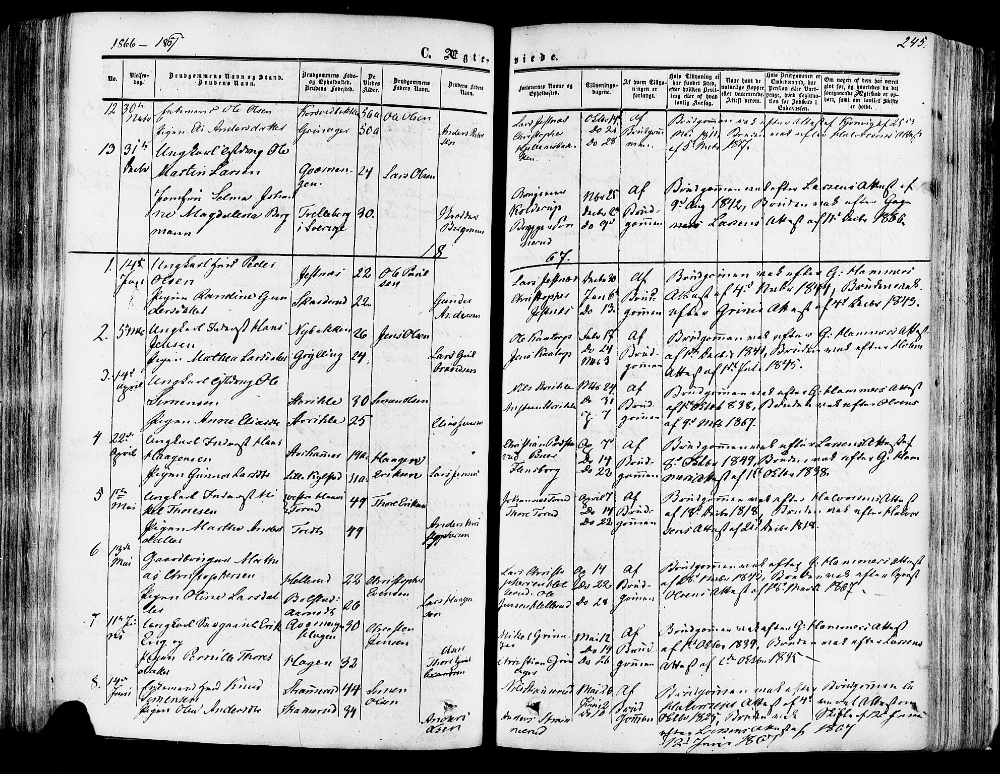 Vang prestekontor, Hedmark, SAH/PREST-008/H/Ha/Haa/L0013: Parish register (official) no. 13, 1855-1879, p. 245
