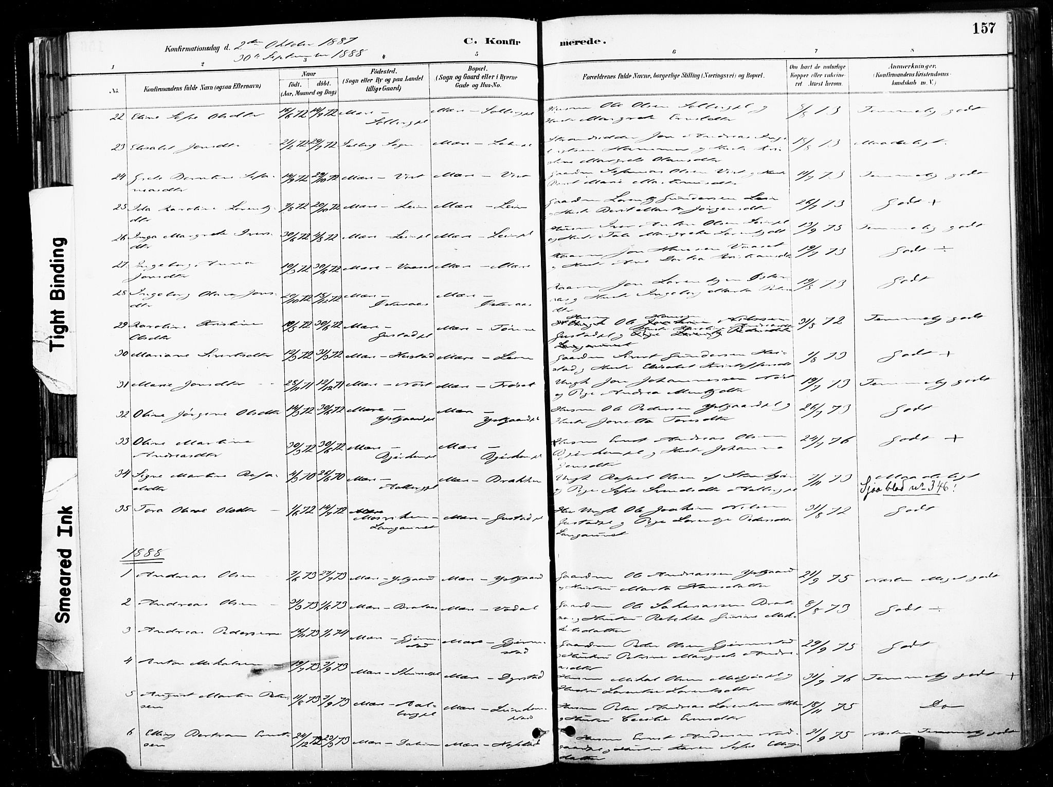 Ministerialprotokoller, klokkerbøker og fødselsregistre - Nord-Trøndelag, AV/SAT-A-1458/735/L0351: Parish register (official) no. 735A10, 1884-1908, p. 157