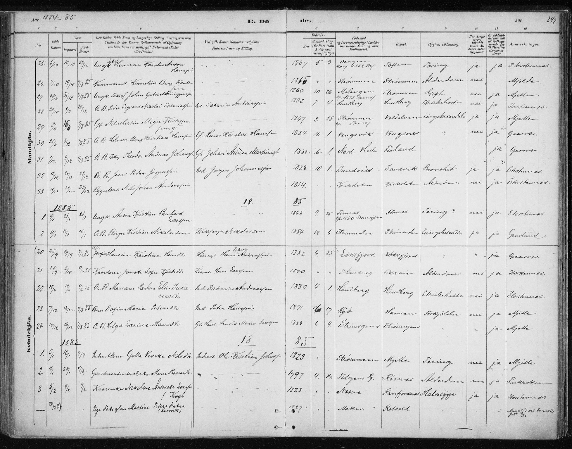 Tromsøysund sokneprestkontor, AV/SATØ-S-1304/G/Ga/L0004kirke: Parish register (official) no. 4, 1880-1888, p. 247