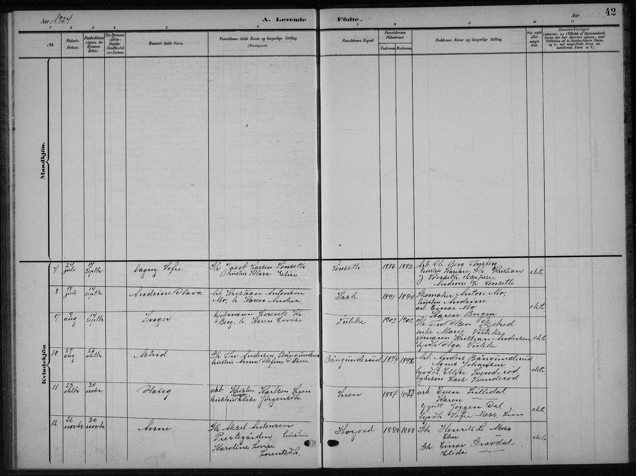 Andebu kirkebøker, AV/SAKO-A-336/G/Gb/L0001: Parish register (copy) no. II 1, 1901-1936, p. 42