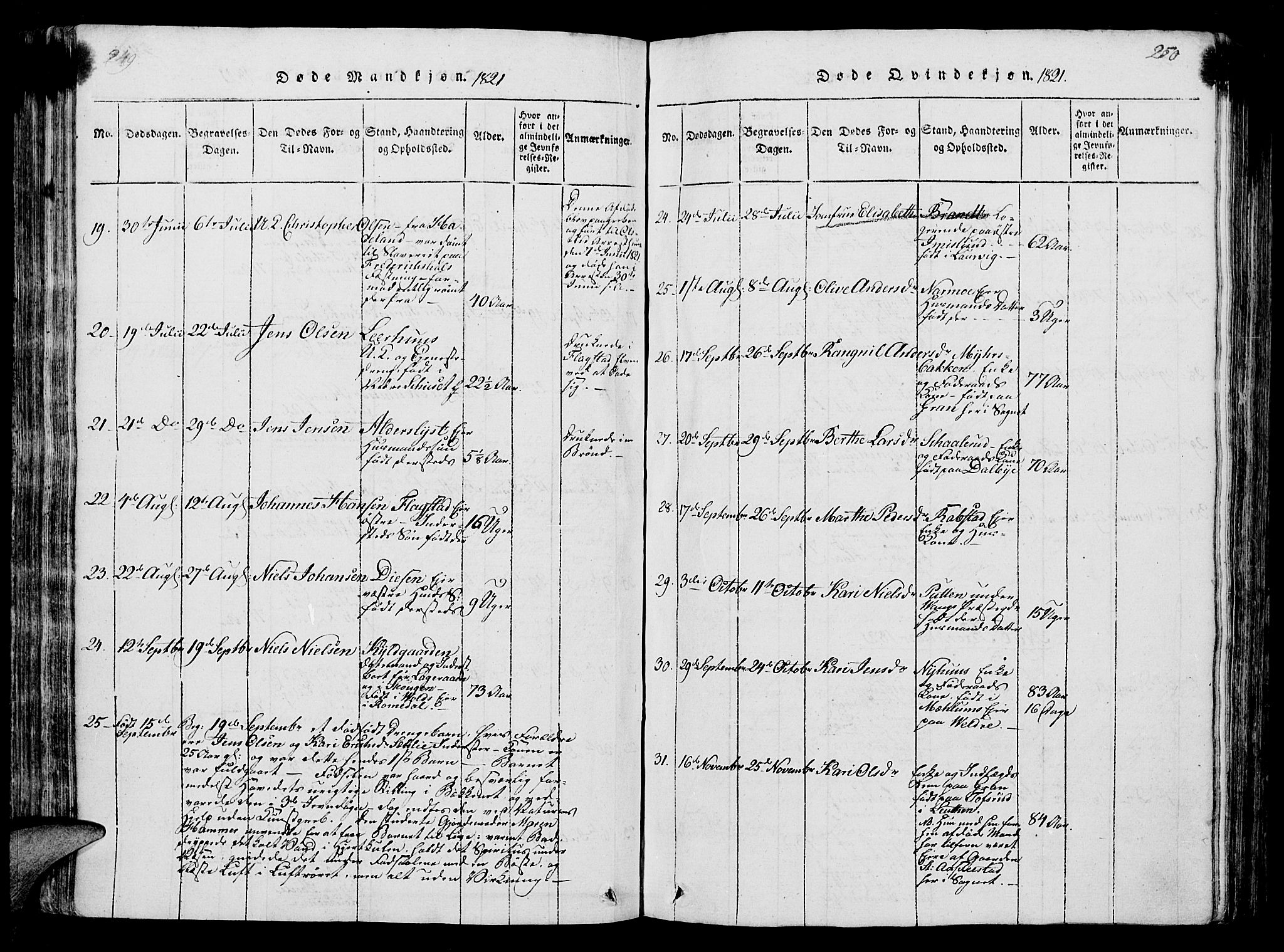 Vang prestekontor, Hedmark, SAH/PREST-008/H/Ha/Hab/L0004: Parish register (copy) no. 4, 1813-1827, p. 249-250