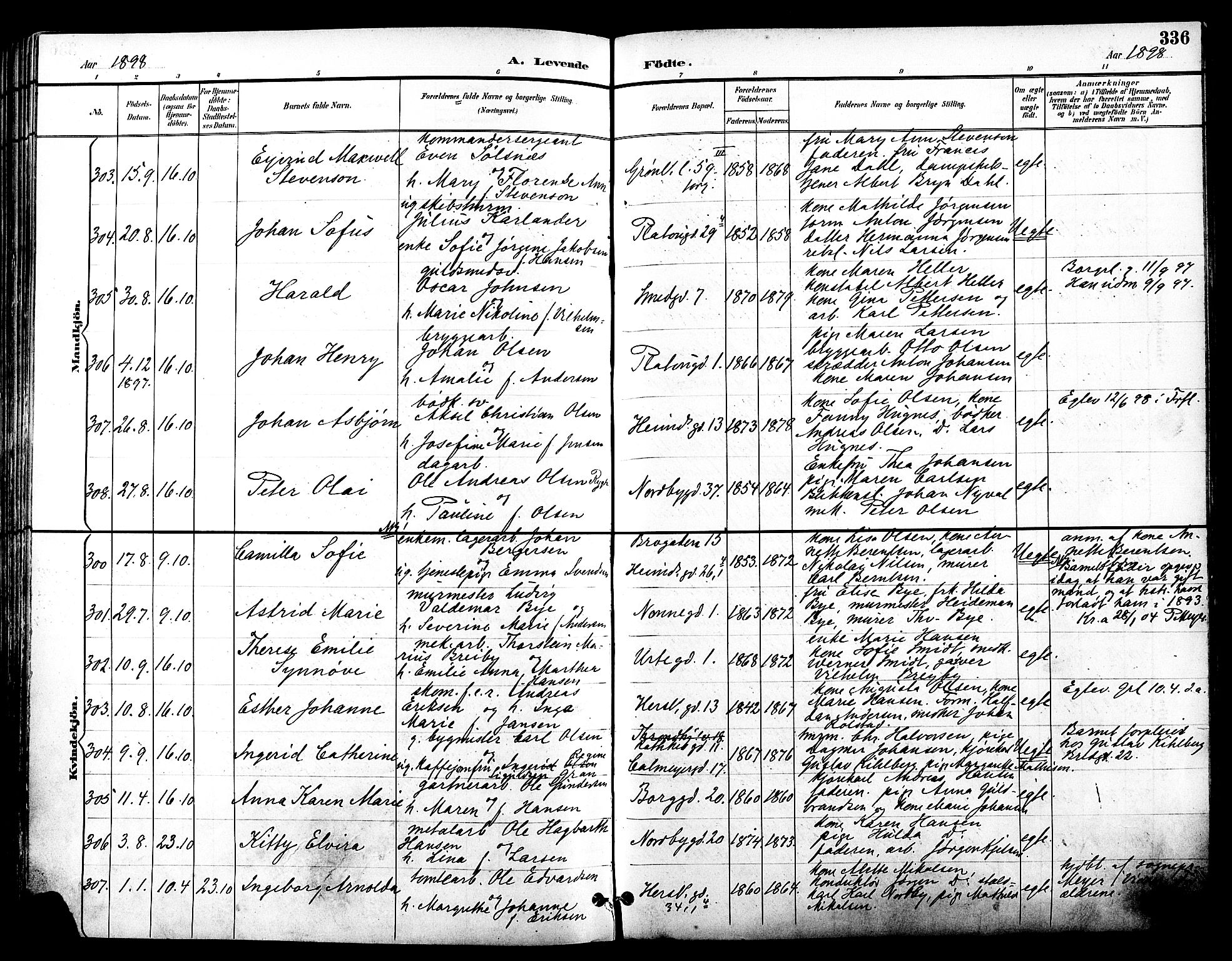 Grønland prestekontor Kirkebøker, SAO/A-10848/F/Fa/L0012: Parish register (official) no. 12, 1893-1900, p. 336