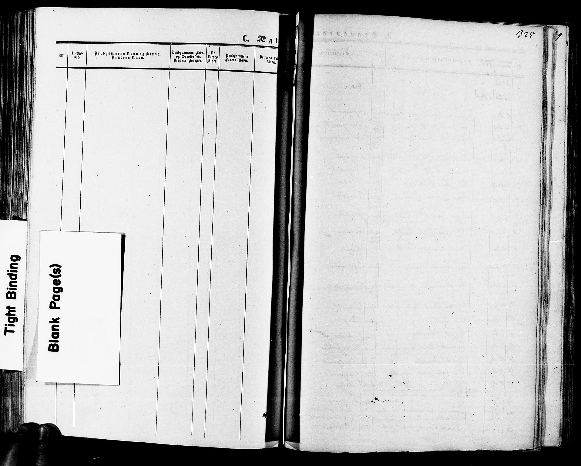 Hol kirkebøker, SAKO/A-227/F/Fa/L0002: Parish register (official) no. I 2, 1870-1886, p. 325