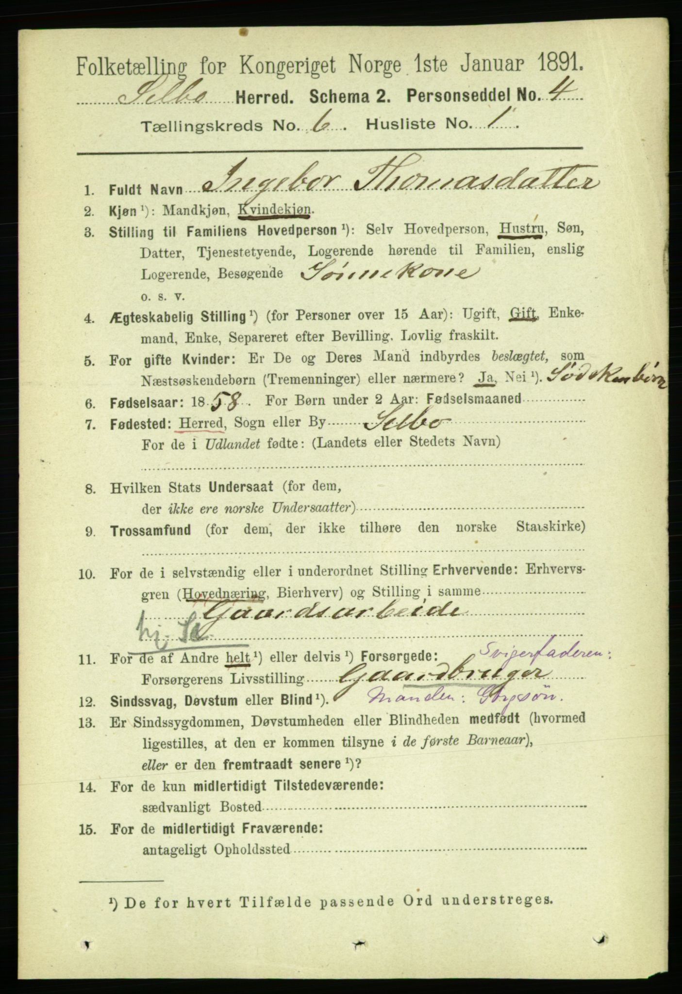 RA, 1891 census for 1664 Selbu, 1891, p. 2128