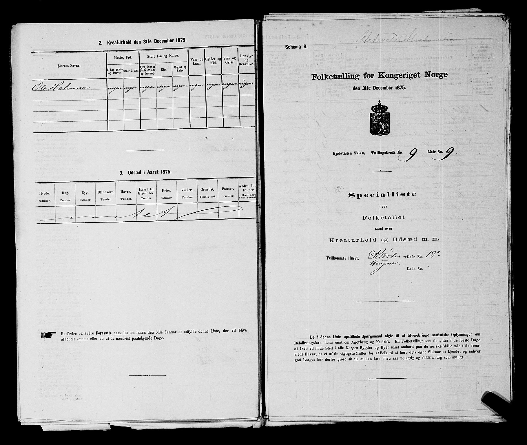 SAKO, 1875 census for 0806P Skien, 1875, p. 1357