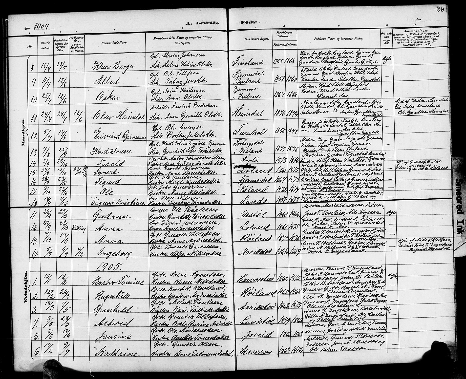 Herefoss sokneprestkontor, SAK/1111-0019/F/Fb/Fbb/L0003: Parish register (copy) no. B 3, 1892-1917, p. 29
