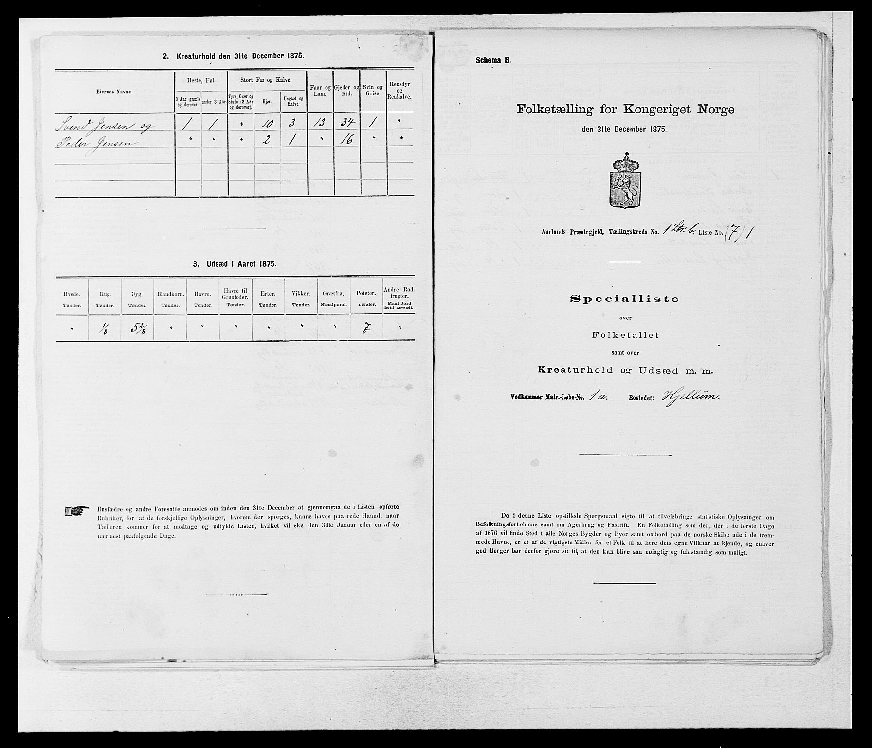 SAB, 1875 census for 1421P Aurland, 1875, p. 31