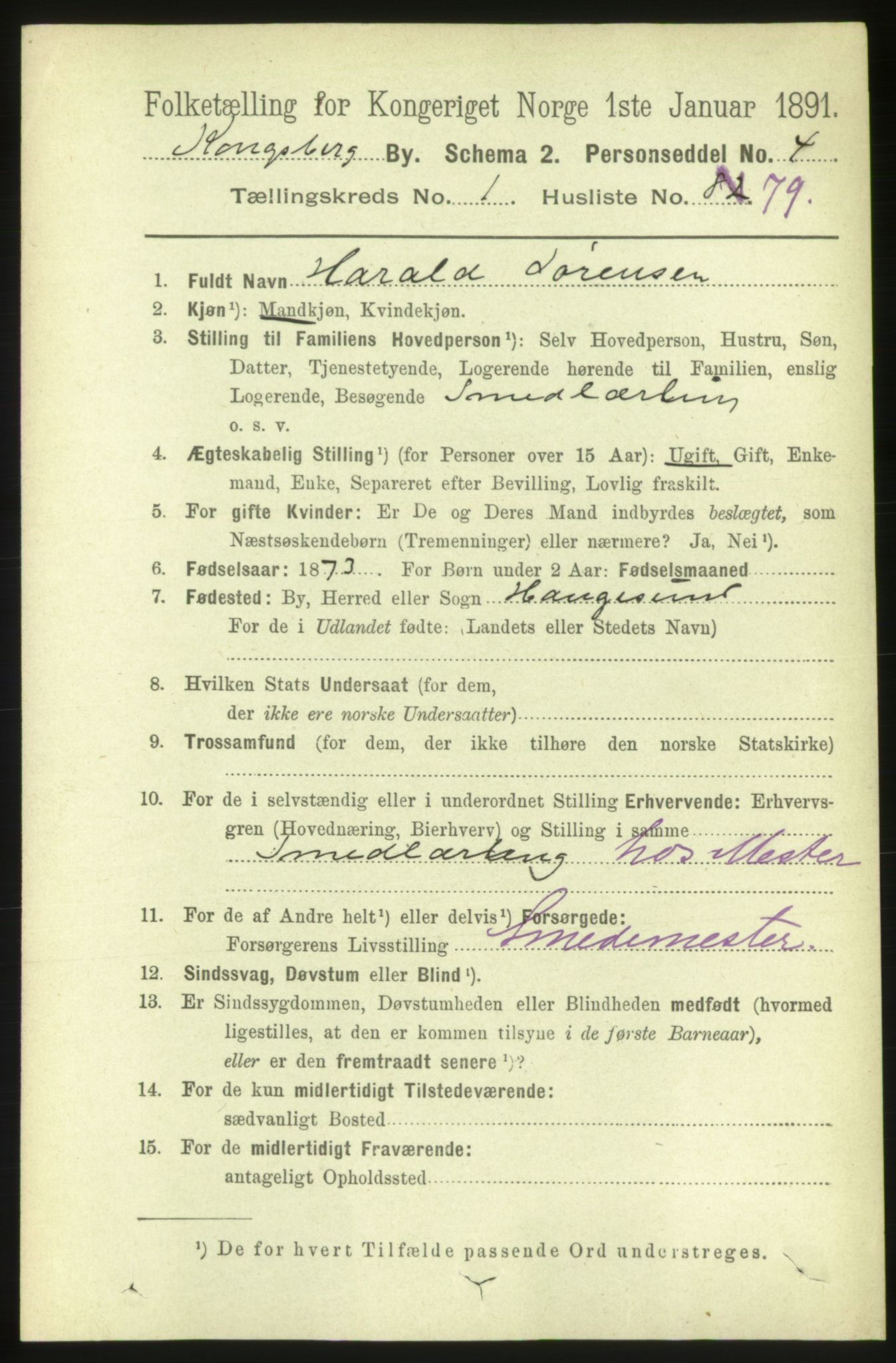 RA, 1891 census for 0604 Kongsberg, 1891, p. 2214