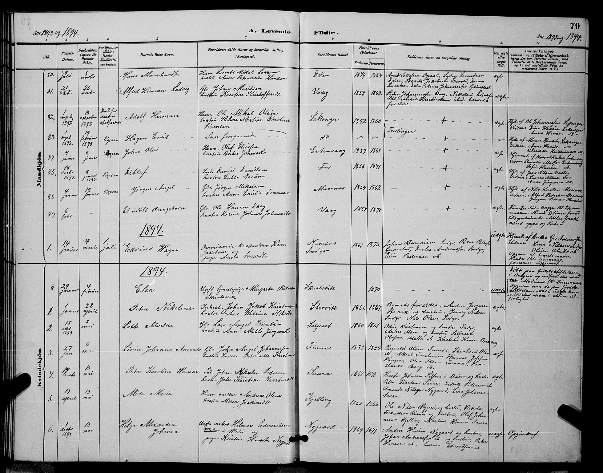 Ministerialprotokoller, klokkerbøker og fødselsregistre - Nordland, AV/SAT-A-1459/805/L0108: Parish register (copy) no. 805C04, 1885-1899, p. 79