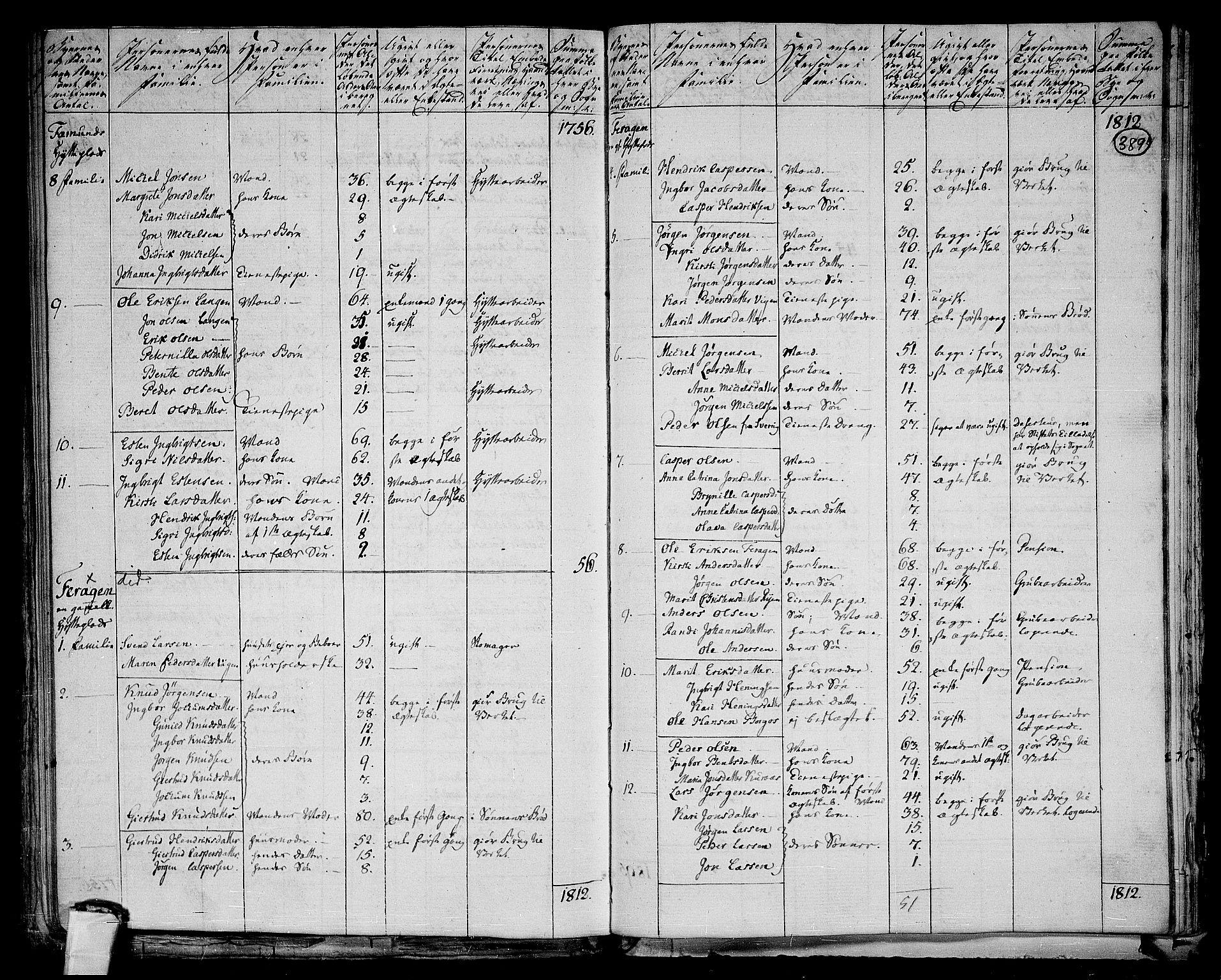 RA, 1801 census for 1640P Røros, 1801, p. 388b-389a