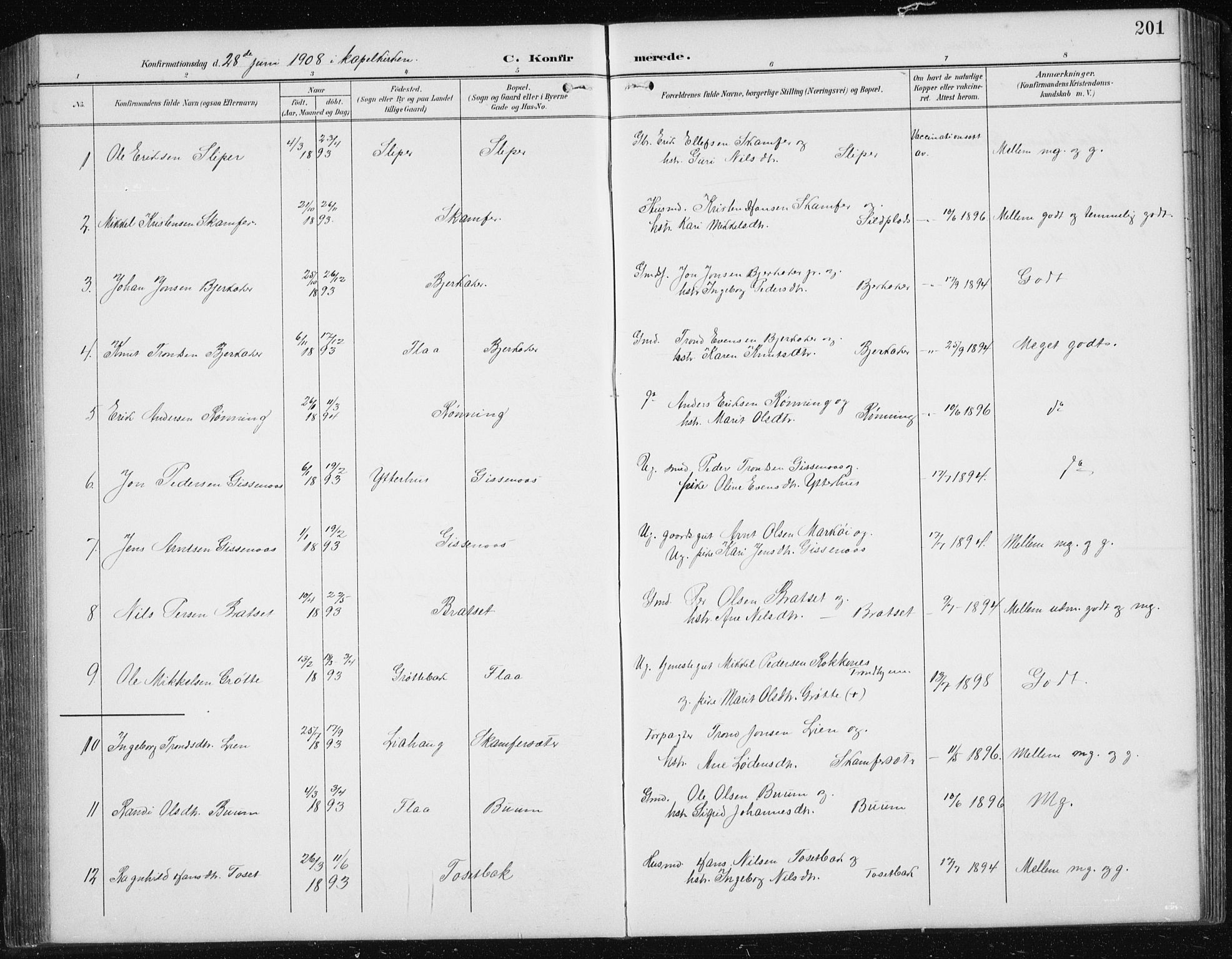 Ministerialprotokoller, klokkerbøker og fødselsregistre - Sør-Trøndelag, SAT/A-1456/674/L0876: Parish register (copy) no. 674C03, 1892-1912, p. 201