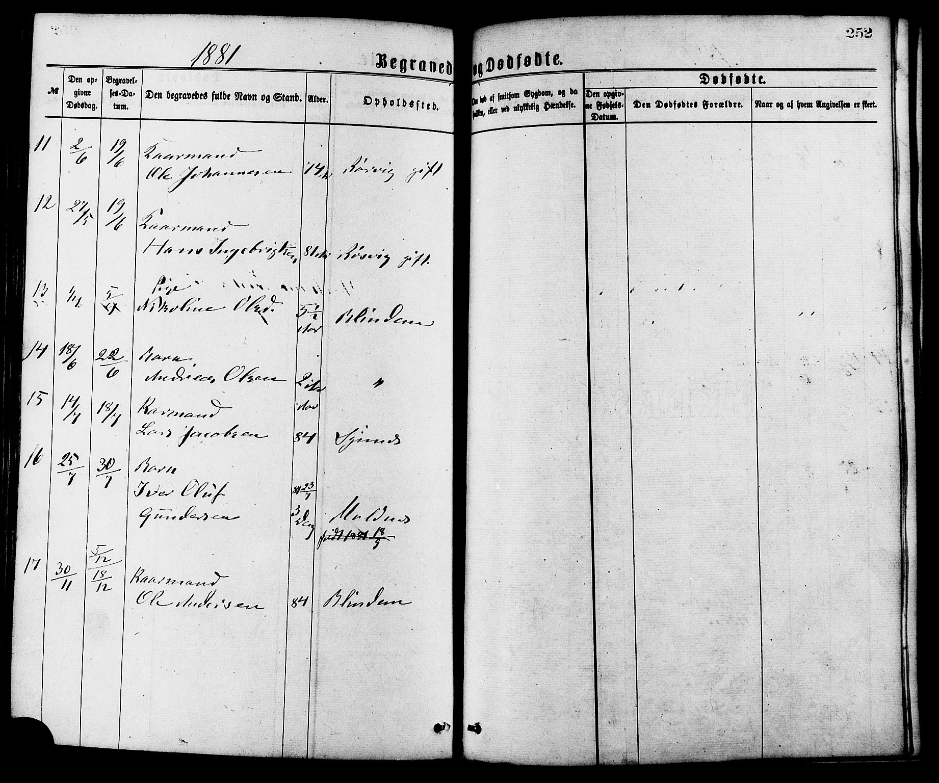 Ministerialprotokoller, klokkerbøker og fødselsregistre - Møre og Romsdal, AV/SAT-A-1454/537/L0519: Parish register (official) no. 537A03, 1876-1889, p. 252