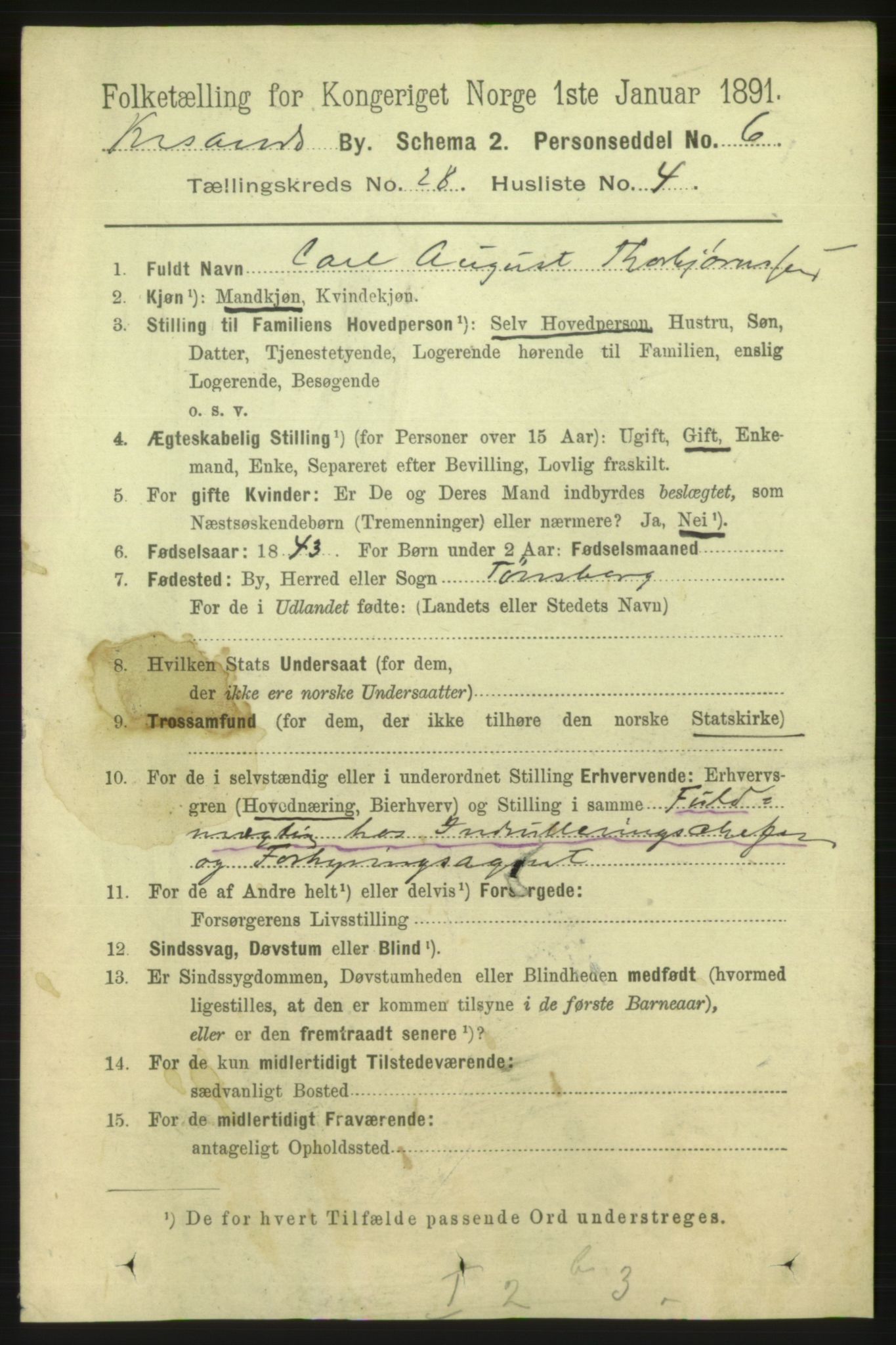 RA, 1891 census for 1001 Kristiansand, 1891, p. 9531