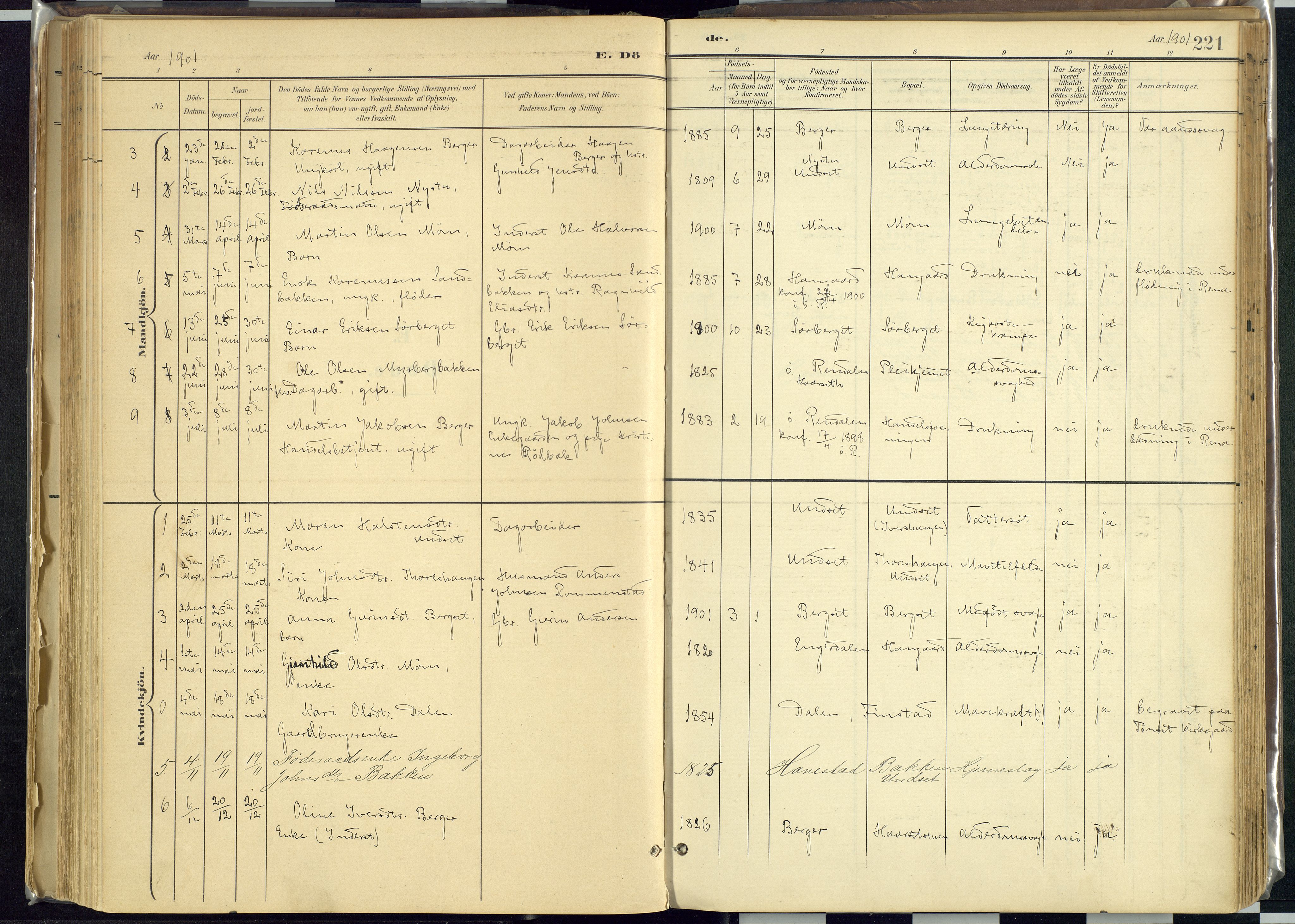 Rendalen prestekontor, SAH/PREST-054/H/Ha/Haa/L0012: Parish register (official) no. 12, 1901-1928, p. 221
