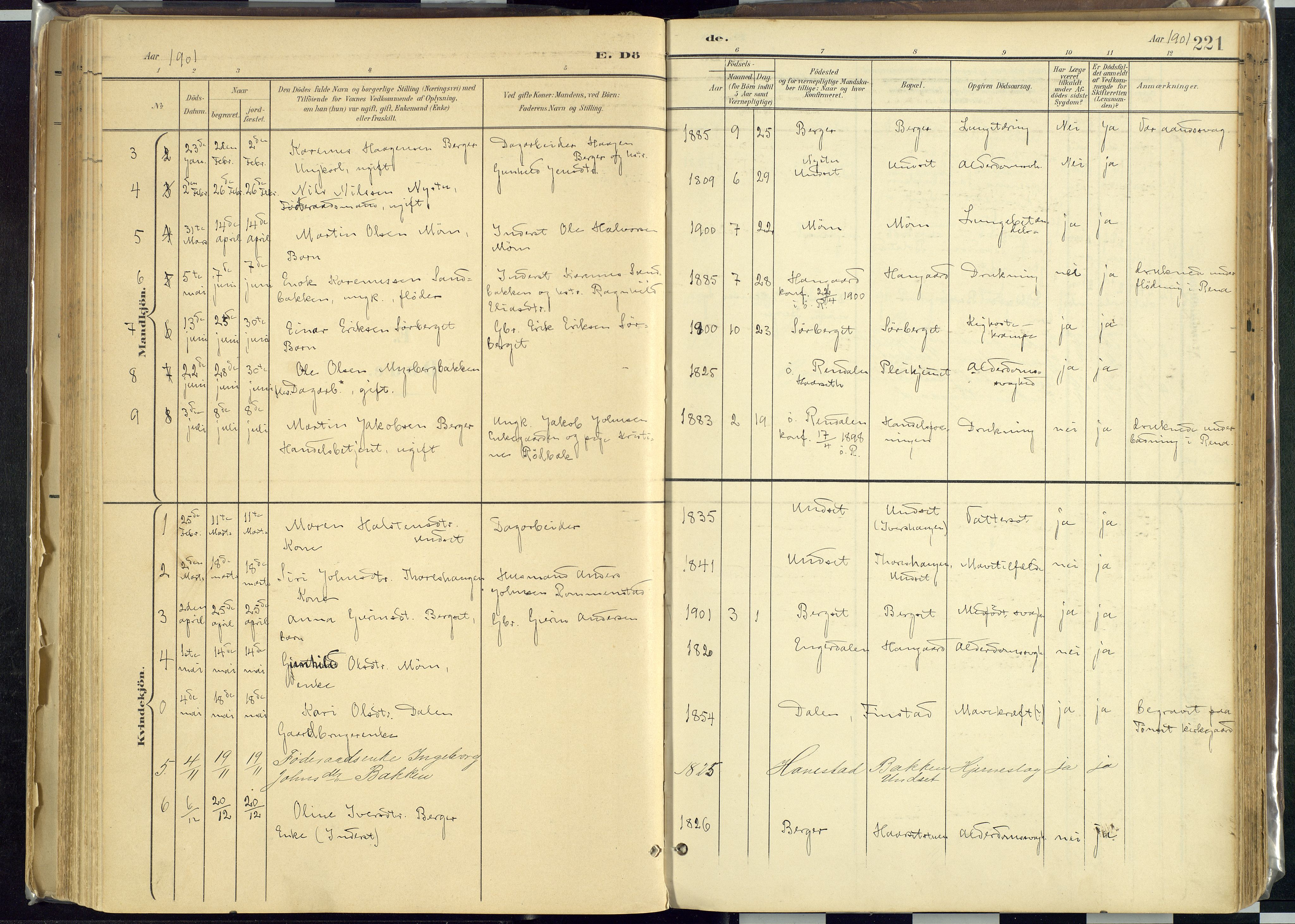 Rendalen prestekontor, AV/SAH-PREST-054/H/Ha/Haa/L0012: Parish register (official) no. 12, 1901-1928, p. 221