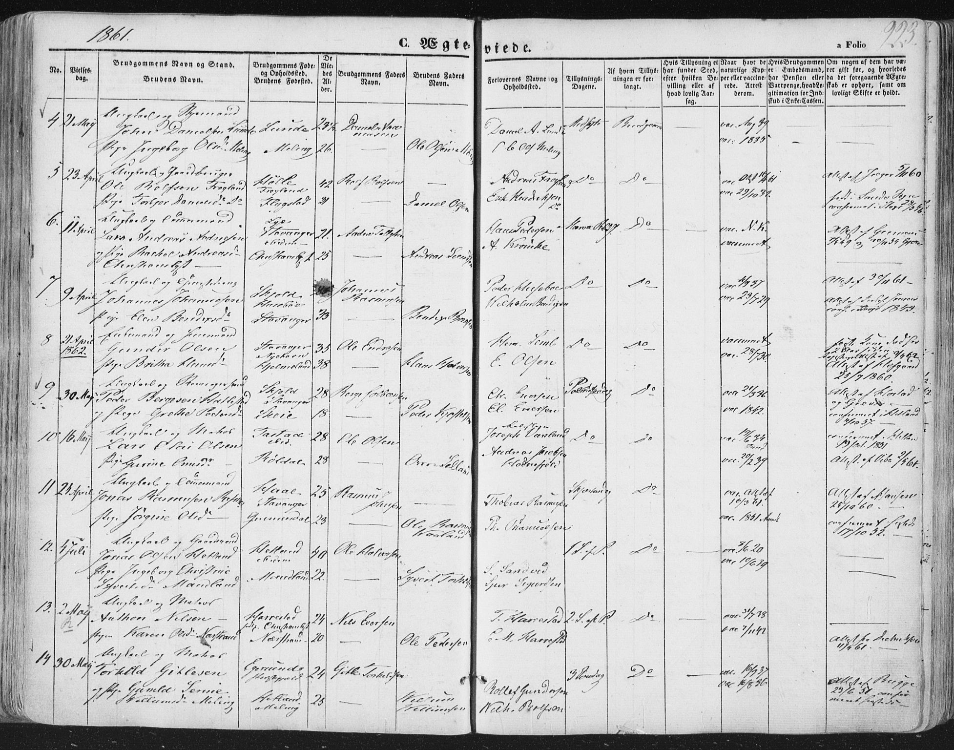Hetland sokneprestkontor, AV/SAST-A-101826/30/30BA/L0002: Parish register (official) no. A 2, 1849-1869, p. 223