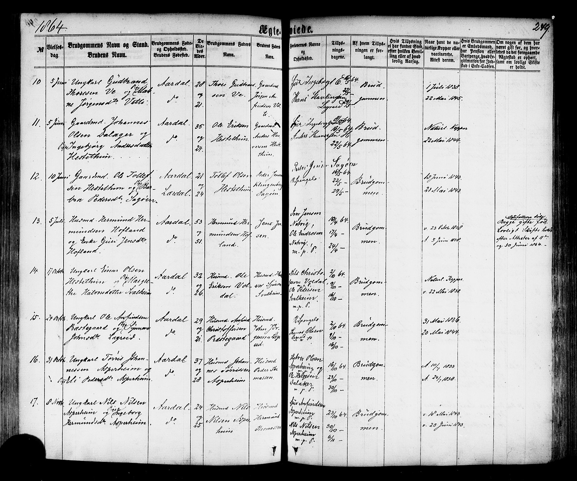 Årdal sokneprestembete, AV/SAB-A-81701: Parish register (official) no. A 3, 1863-1886, p. 249