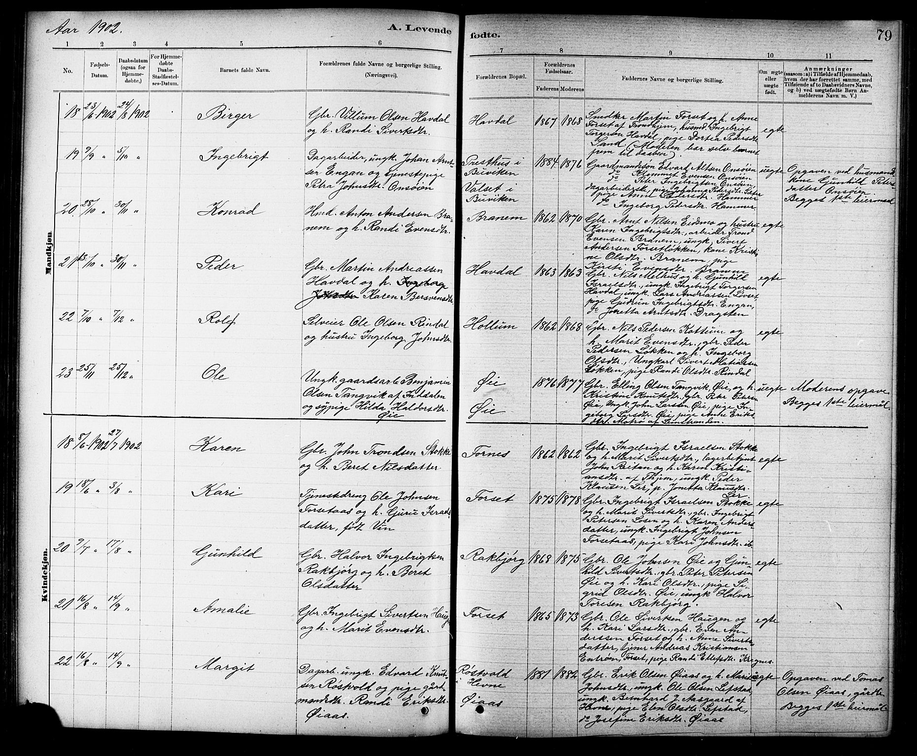 Ministerialprotokoller, klokkerbøker og fødselsregistre - Sør-Trøndelag, AV/SAT-A-1456/691/L1094: Parish register (copy) no. 691C05, 1879-1911, p. 79