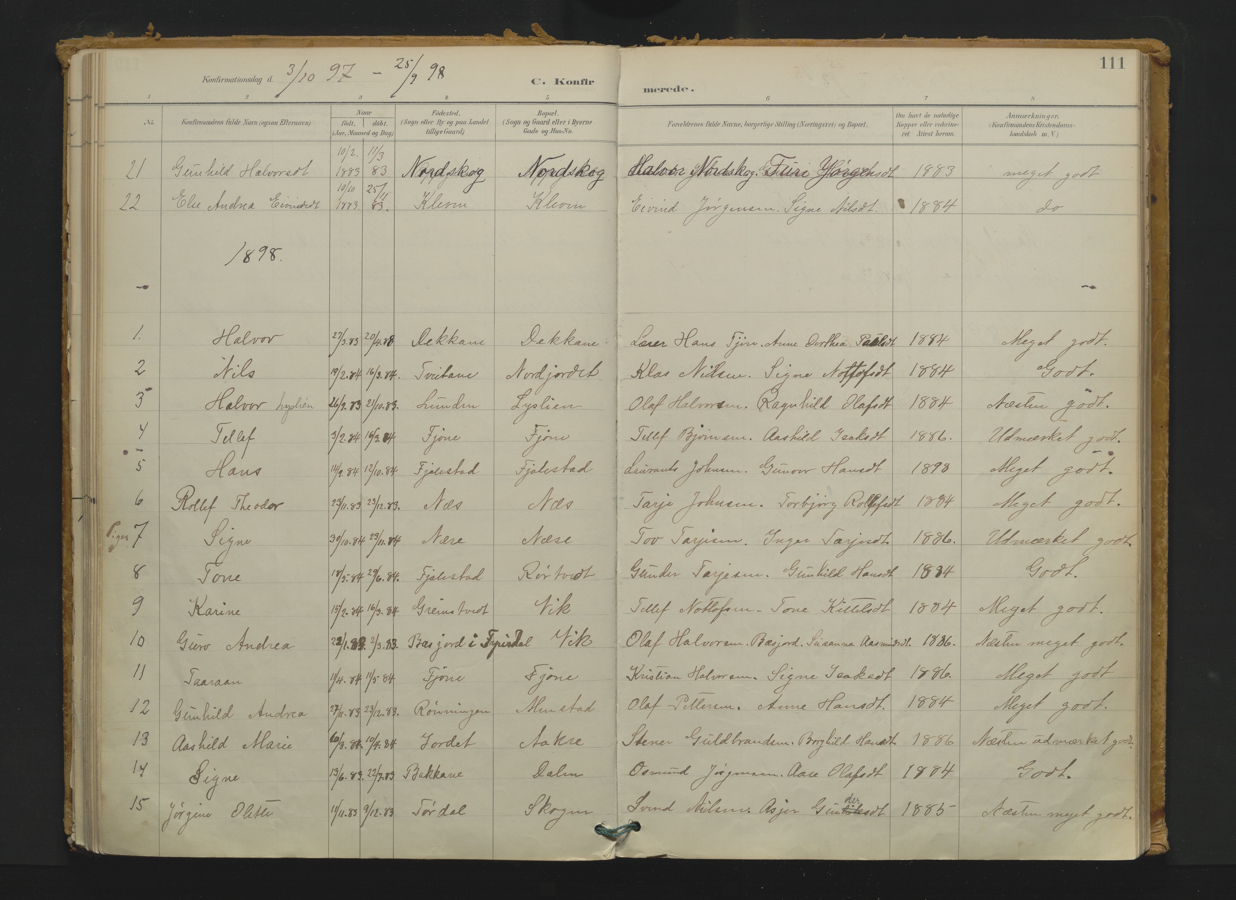 Nissedal kirkebøker, AV/SAKO-A-288/F/Fa/L0005: Parish register (official) no. I 5, 1887-1924, p. 111